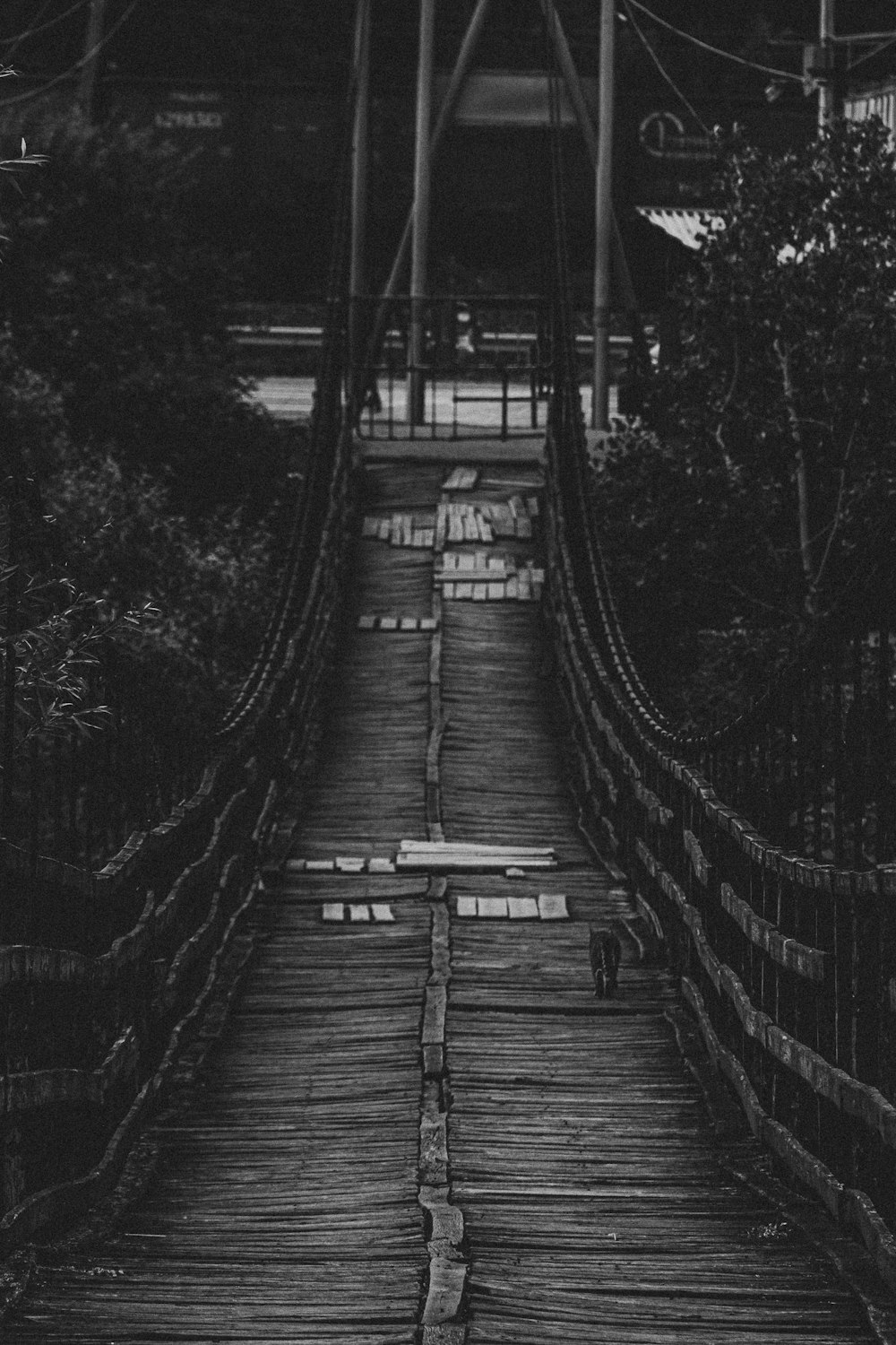 grayscale photo of wooden bridge