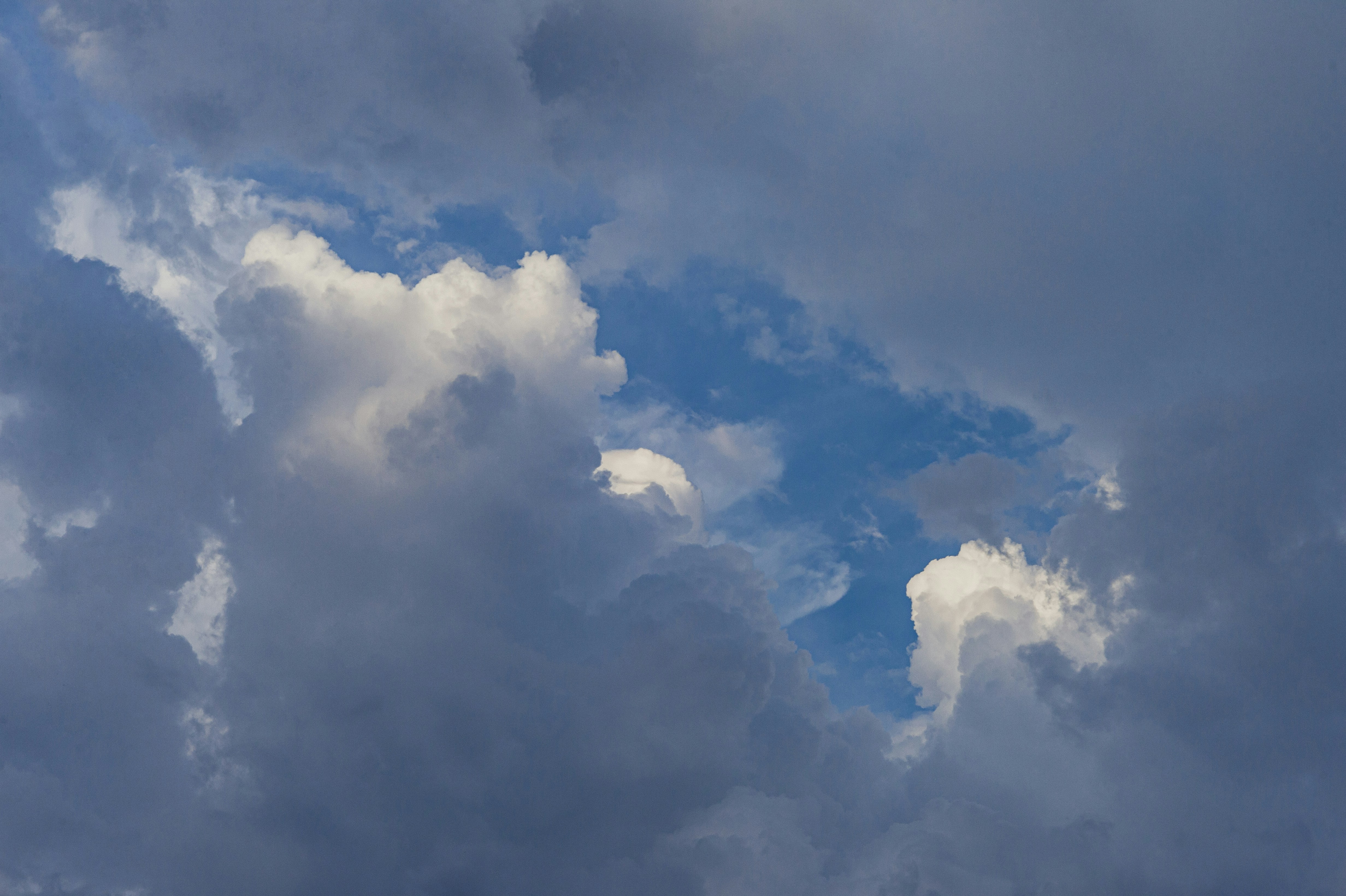 Photo by vonshnauzer