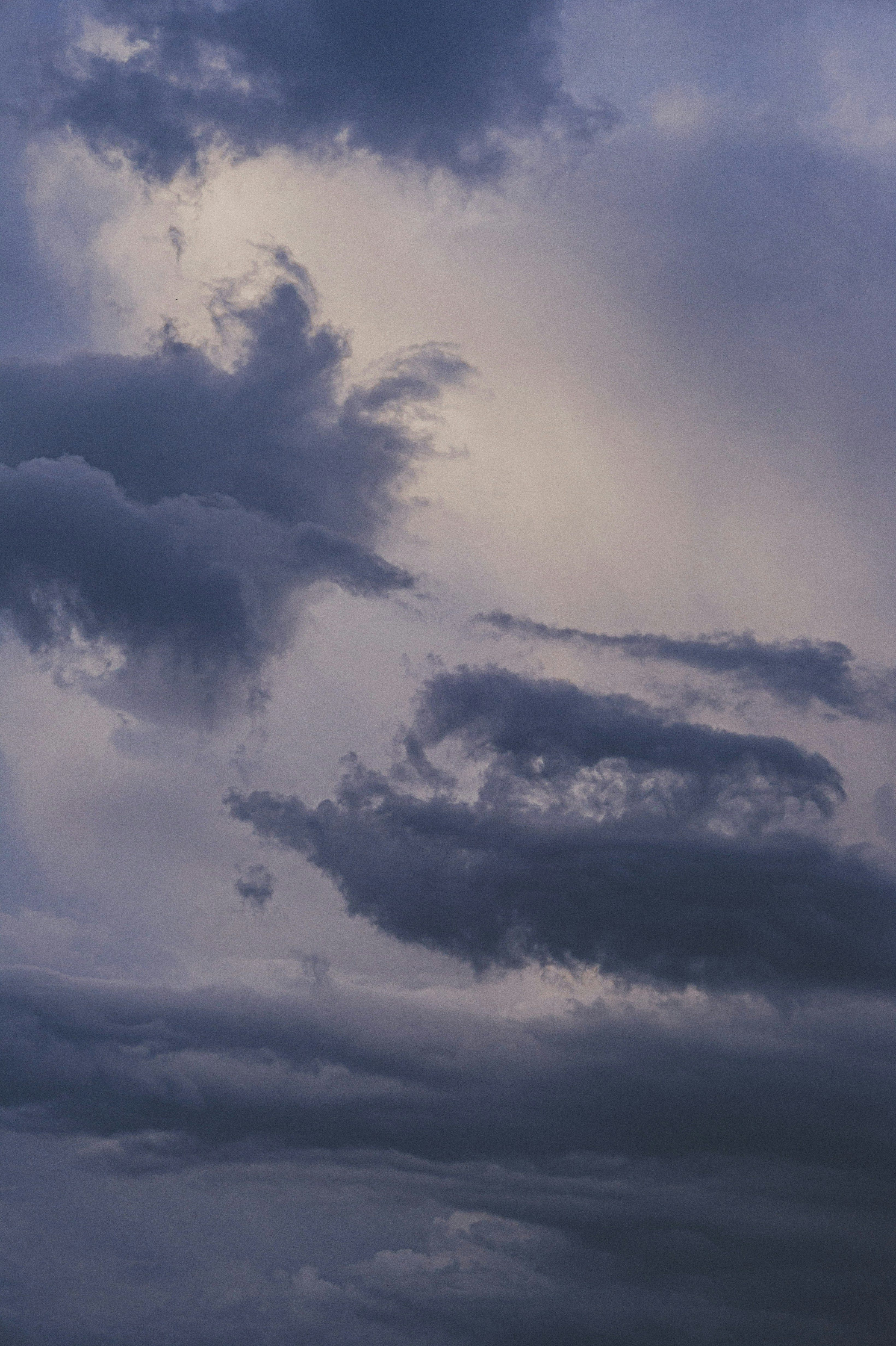 Photo by vonshnauzer