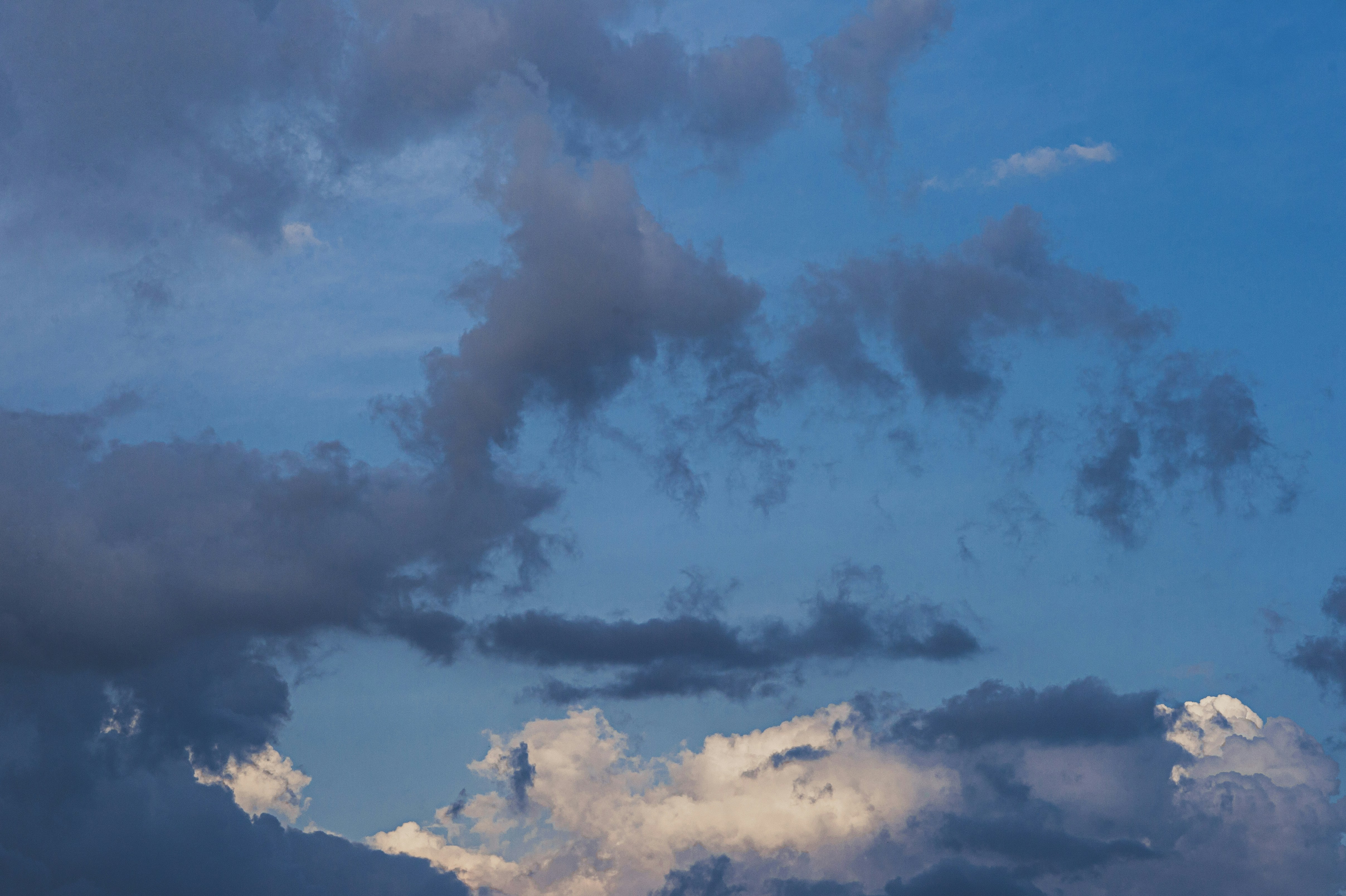 Photo by vonshnauzer