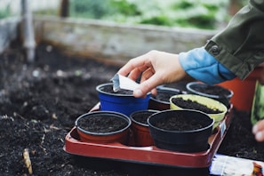 A close-up of hands planting seeds in a community garden.