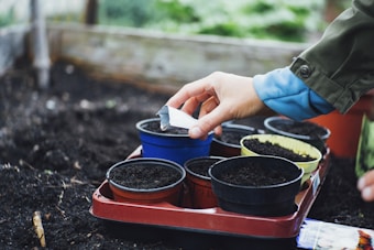 A close-up of a person's hand holding a packet over several small pots filled with soil, likely preparing to plant seeds. The scene appears to be set in a garden or greenhouse with blurred greenery in the background.