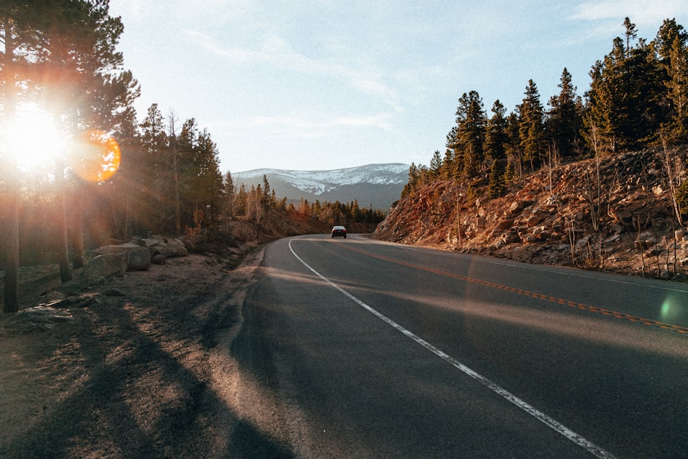 gray asphalt road between green trees during daytime