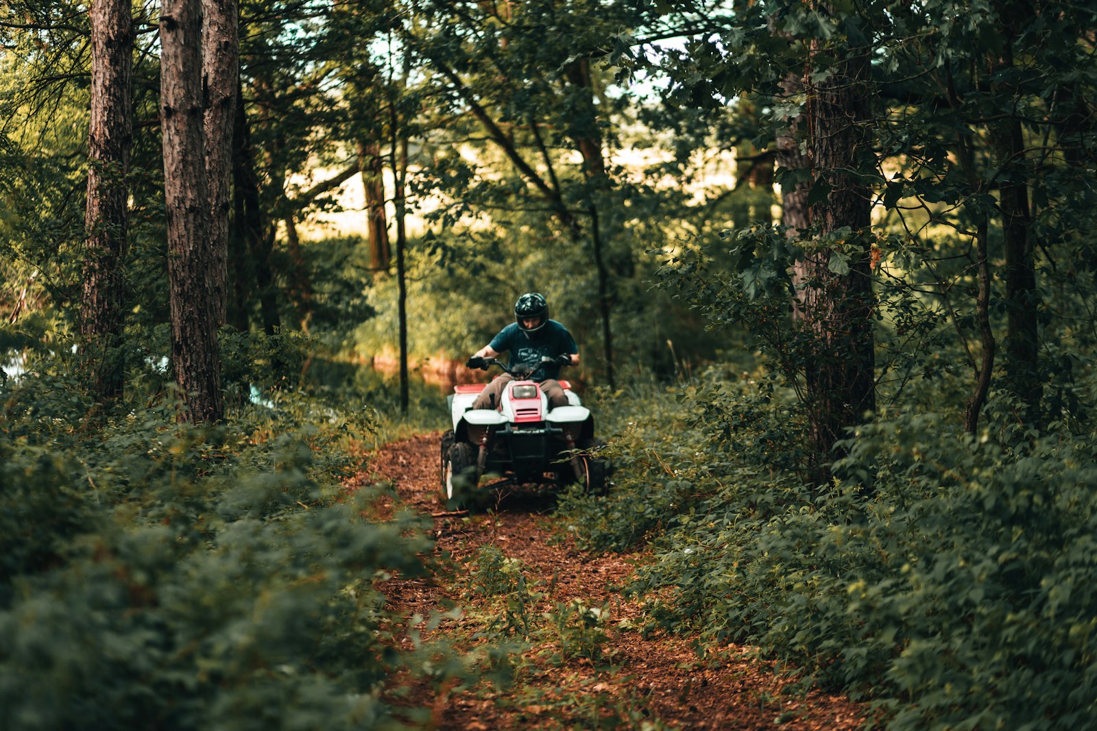 Sony a7 II + Canon EF 85mm F1.8 USM sample photo. Man and woman riding photography