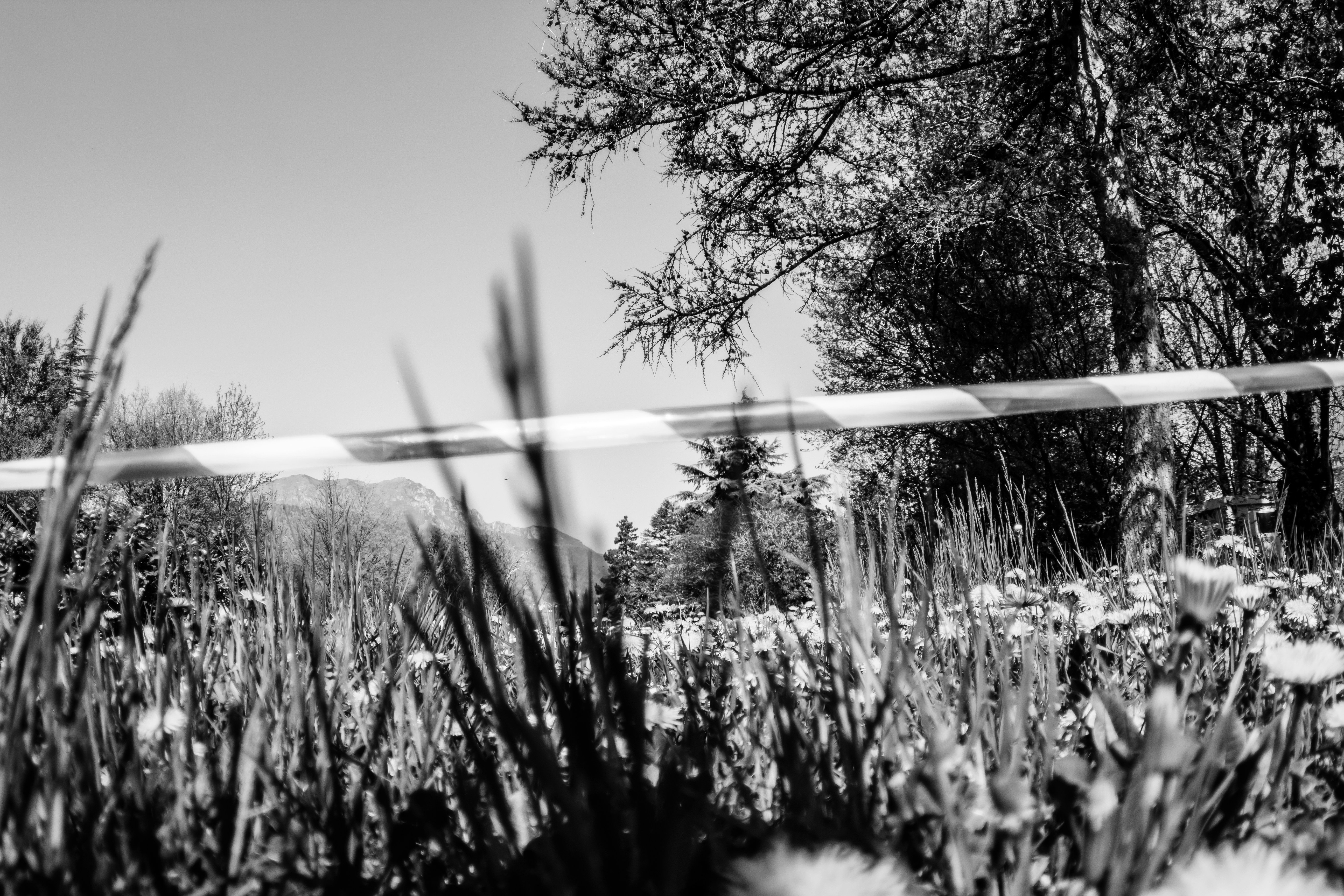 Photo by photoroutes