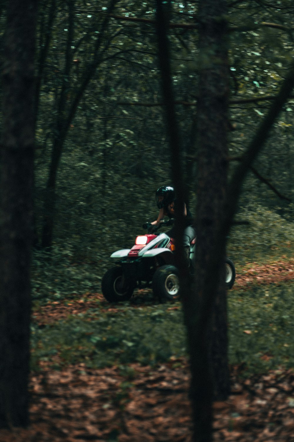 man riding on red and white atv in forest during daytime