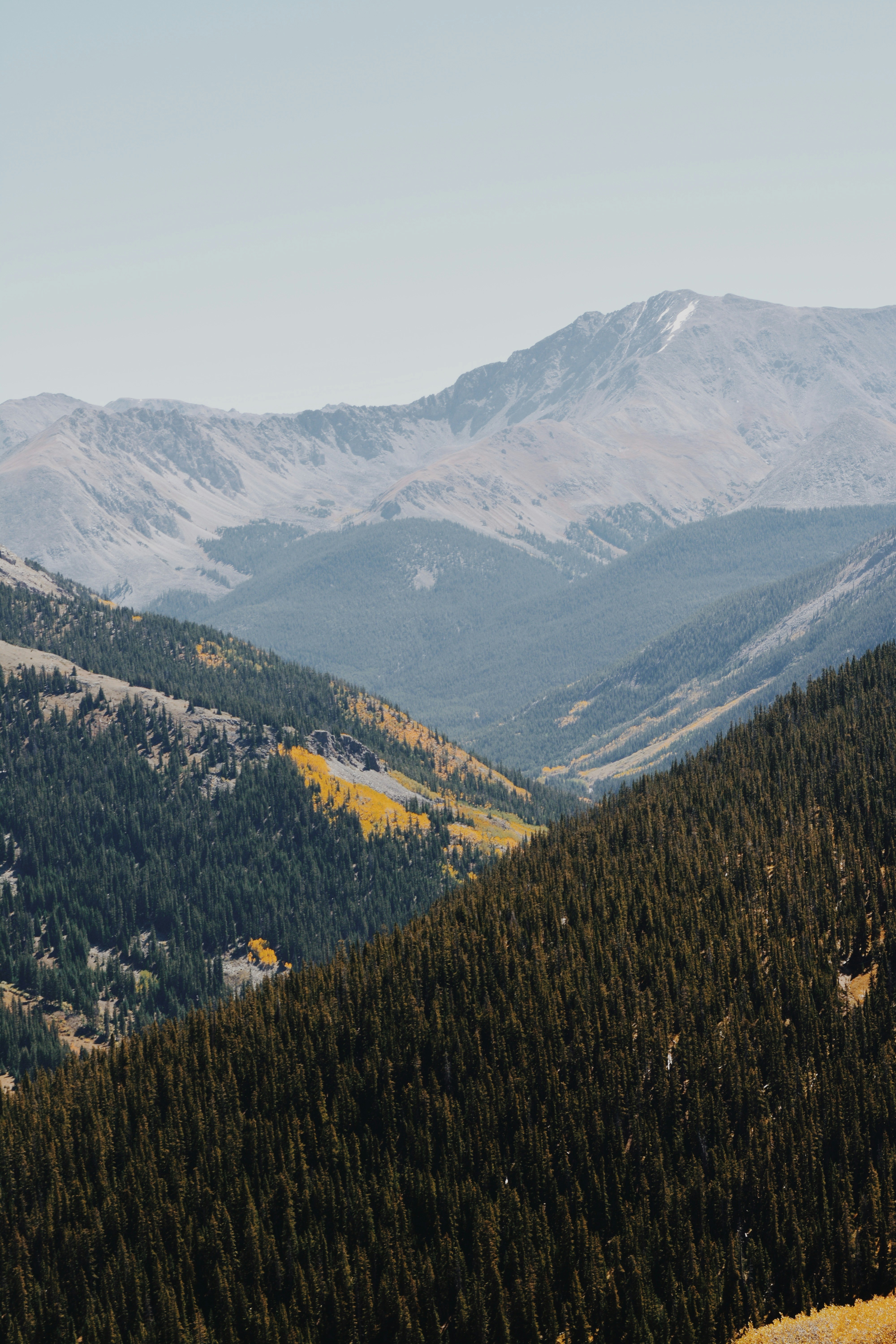 Photo by taylorngregory