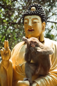 A majestic golden monkey statue glowing under a spotlight.