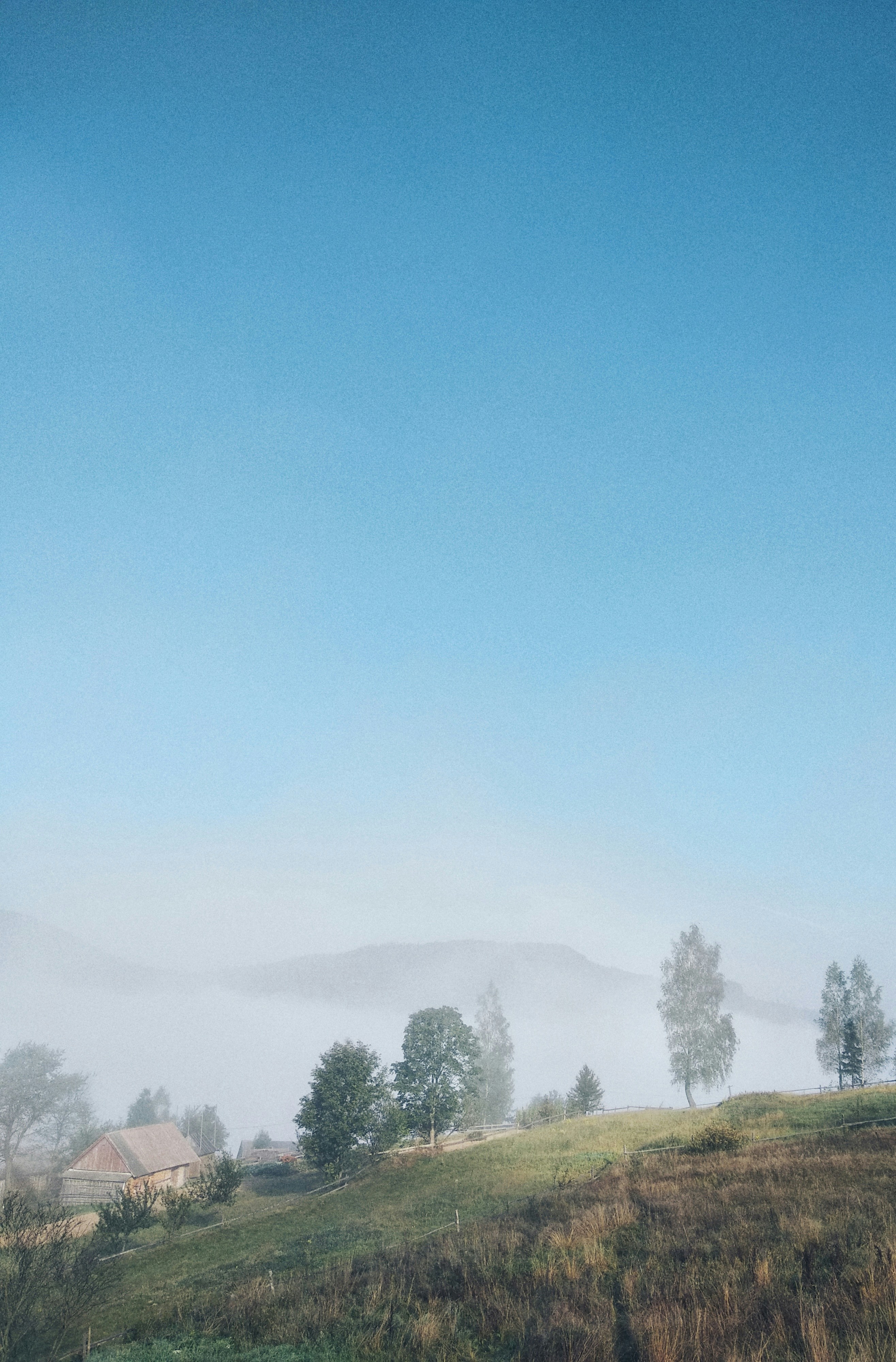 Photo by timesnewroman14