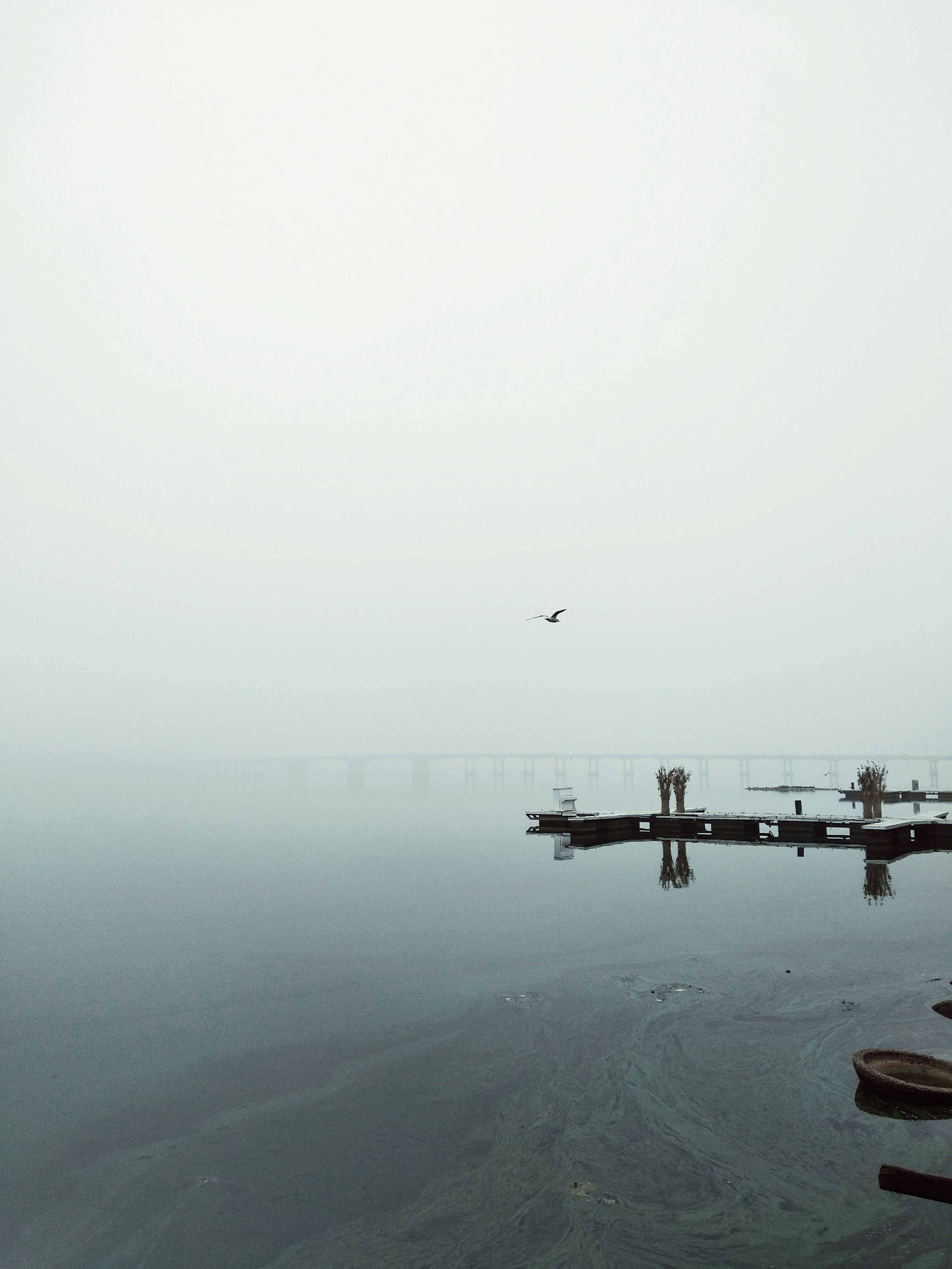 Photo by timesnewroman14