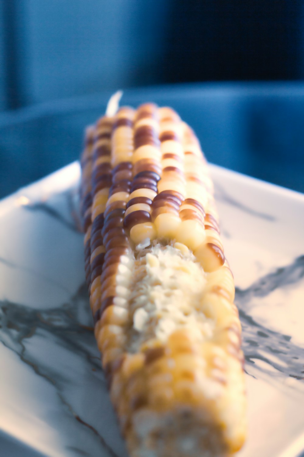 corn on white ceramic plate