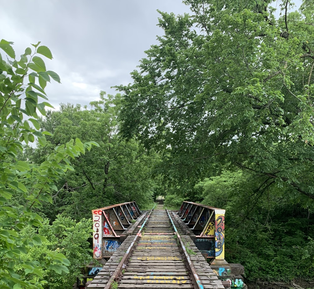 brown wooden train rail between green trees during daytime