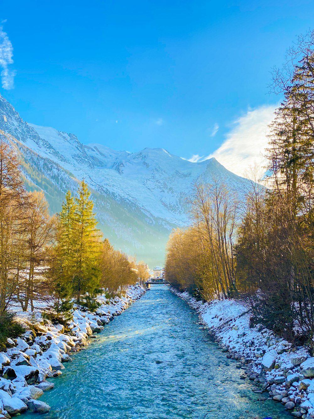 green trees near mountain under blue sky during daytime