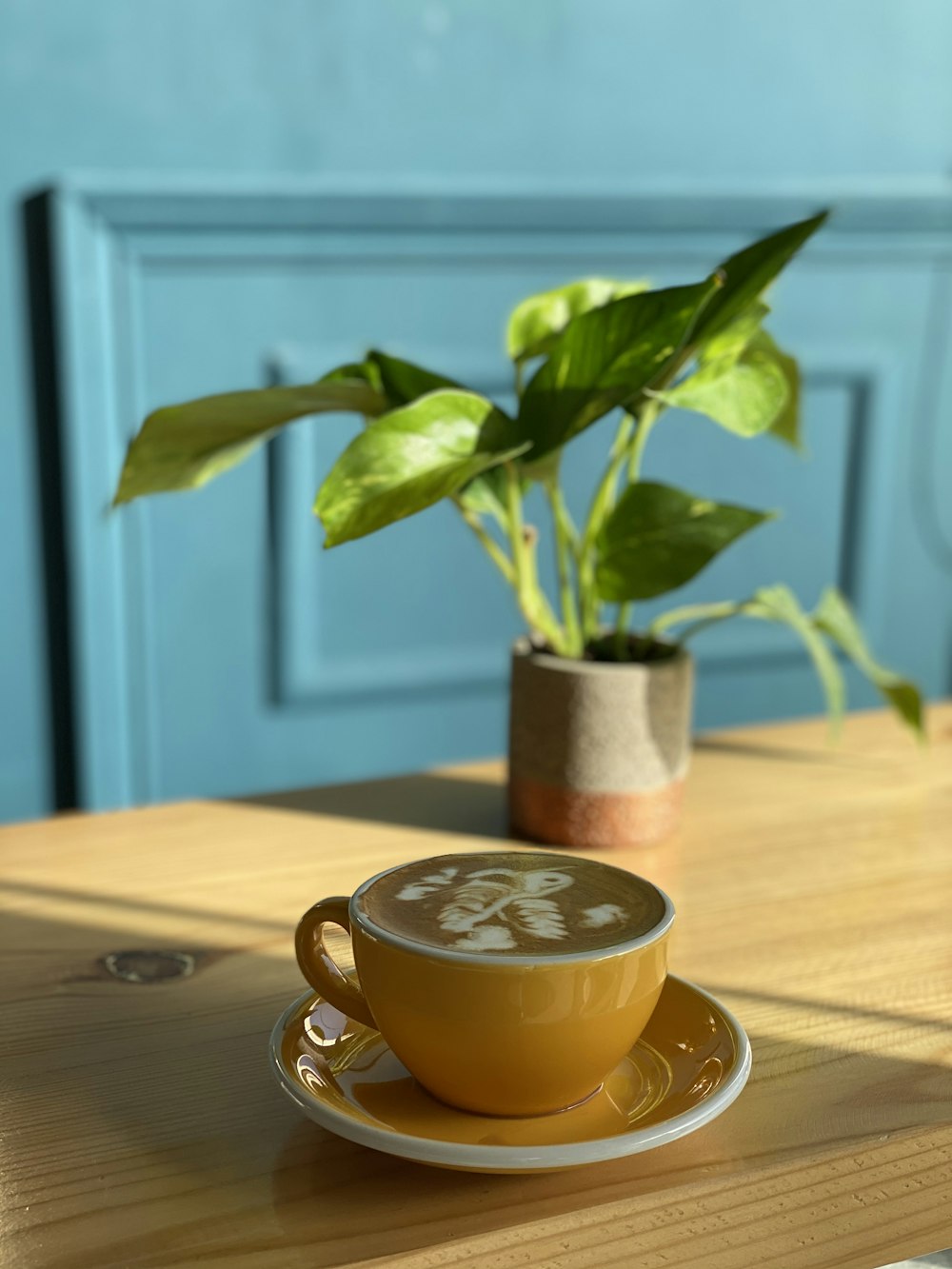 green plant in yellow ceramic mug on brown wooden table