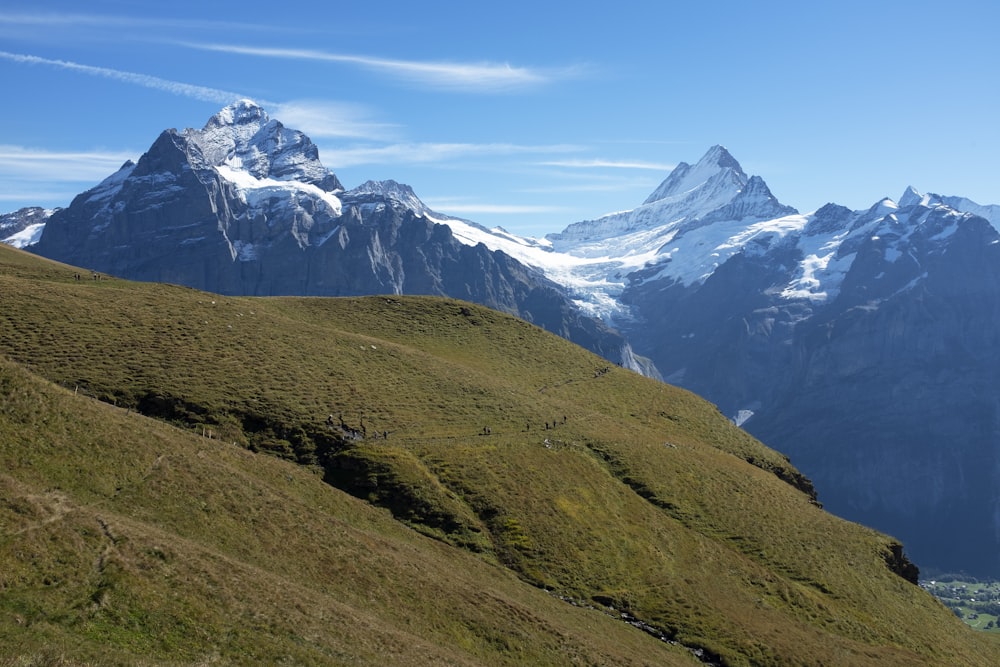 grüner grasbedeckter Berg unter blauem Himmel tagsüber