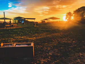 Sunset view over rolling fields with tractors parked near a barn