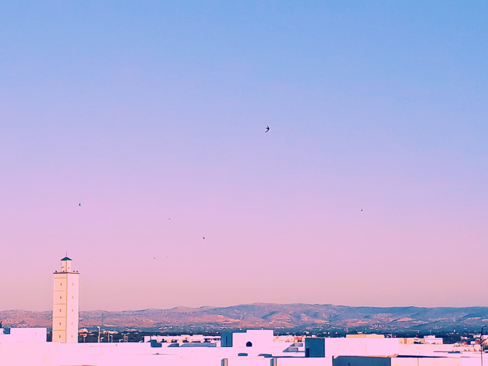 bird flying over the city during daytime