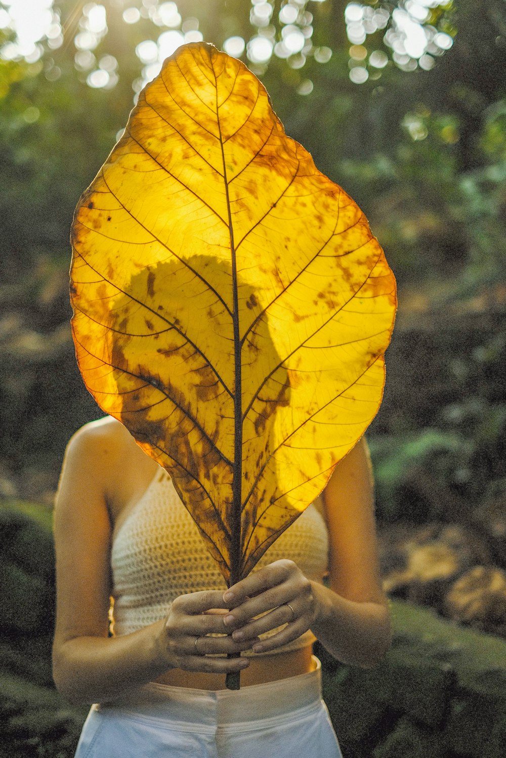 woman in white tank top holding yellow maple leaf