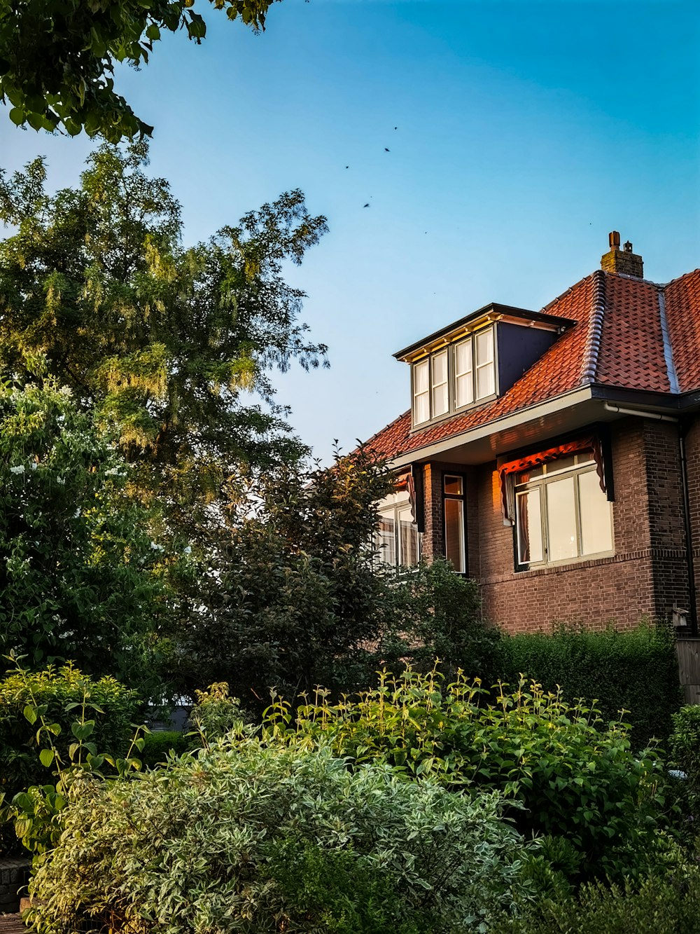 brown and white concrete house surrounded by green trees under blue sky during daytime