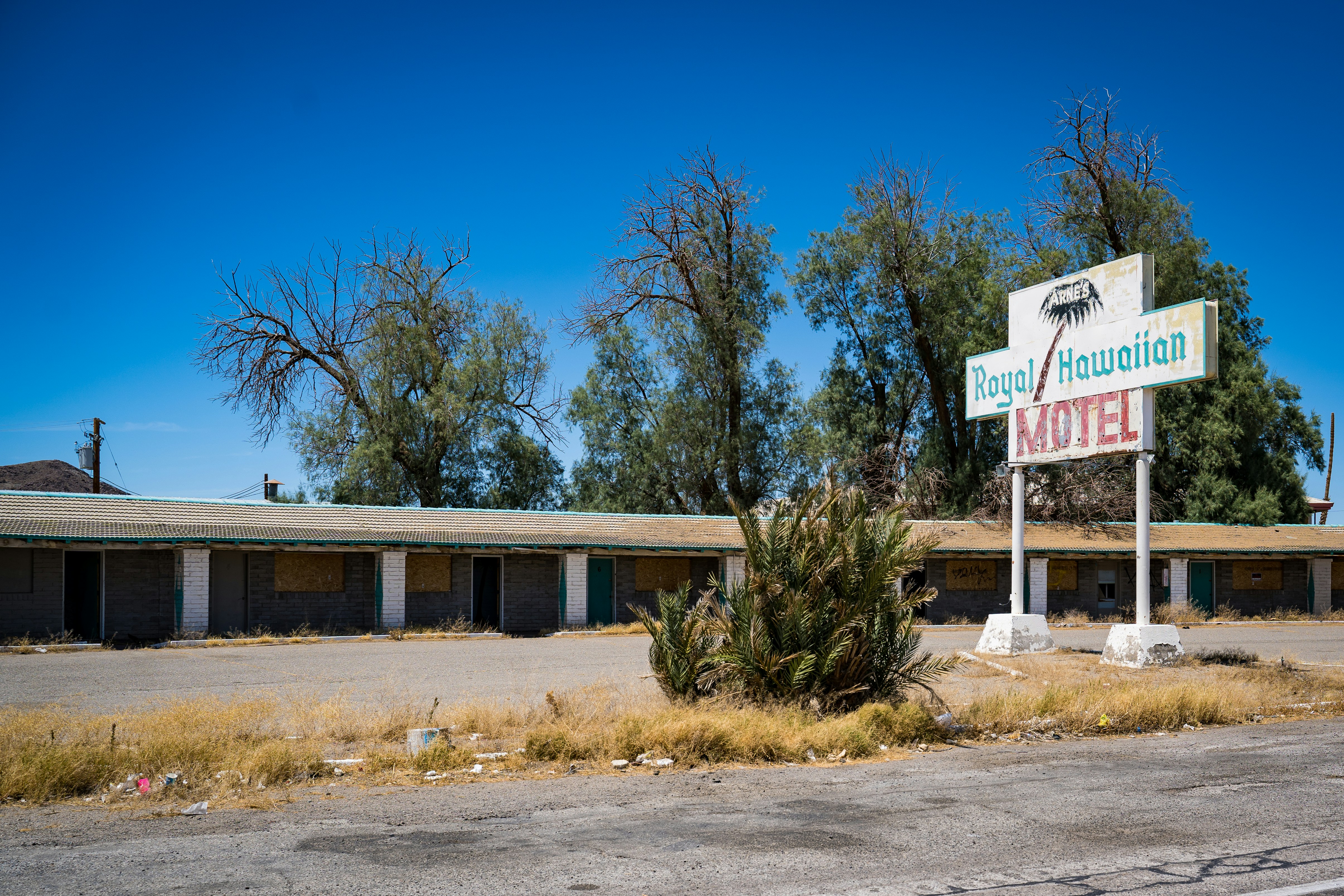 Photo by davidirelandmagnetic