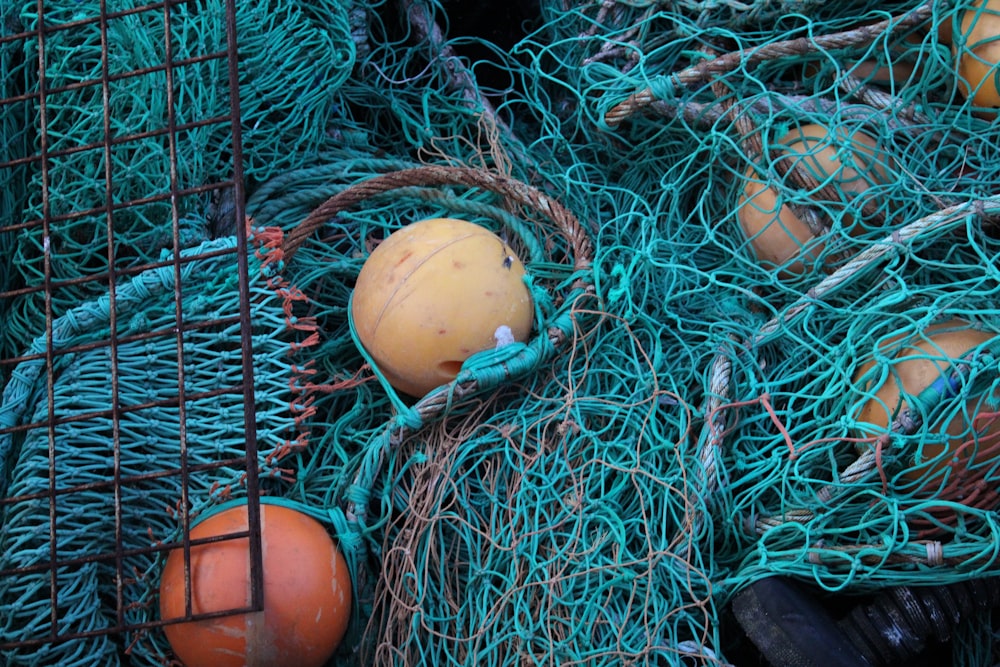 white egg on blue net