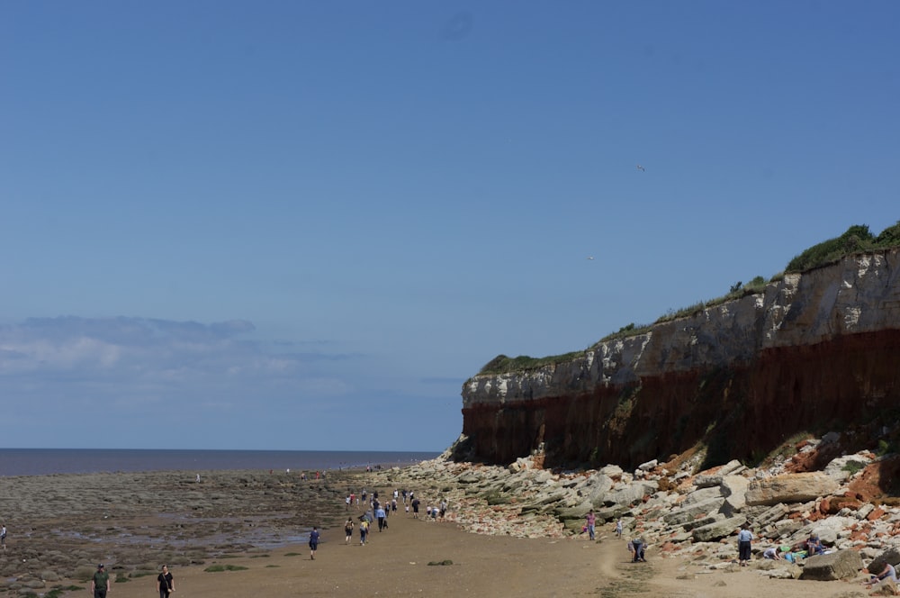 people on beach during daytime