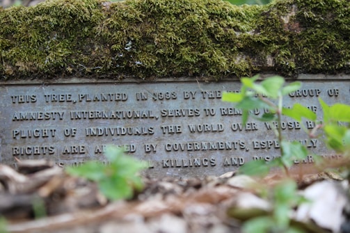 A moss-covered stone plaque contains a message about a tree planted by the local group of Amnesty International. The plaque is partially obscured by plants in the foreground, with text that speaks about reminding us of the plight of individuals whose rights are abused.