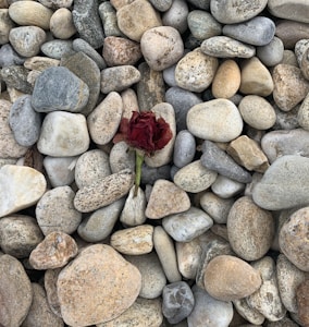 Sad Stone
