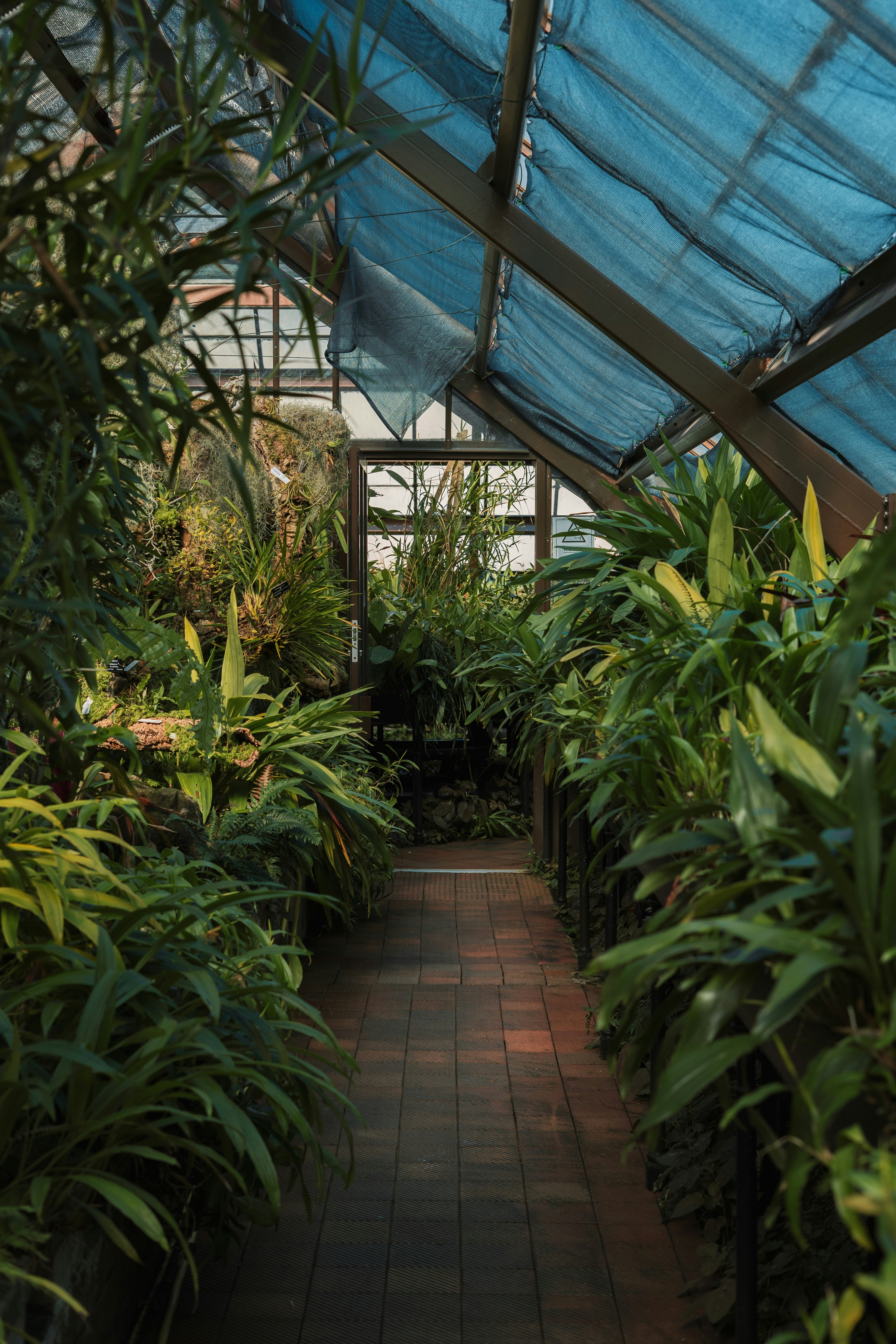 green plants on green plants