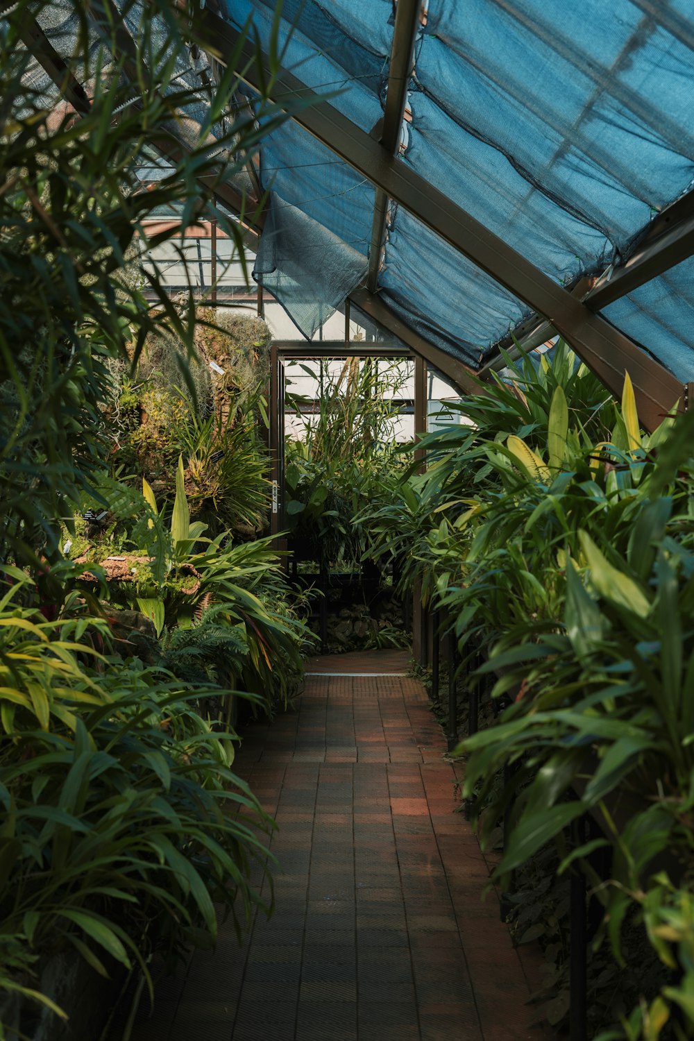 green plants on green plants