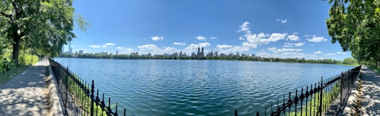 body of water near green trees under blue sky during daytime in Central Park United States