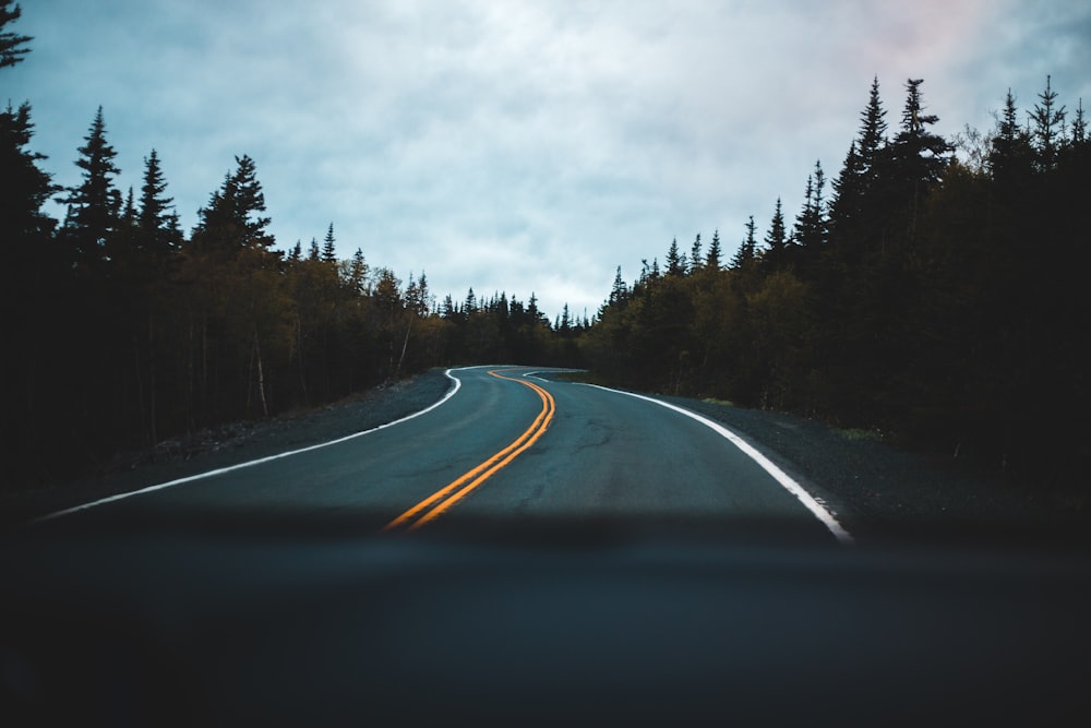 gray asphalt road between green trees under gray sky