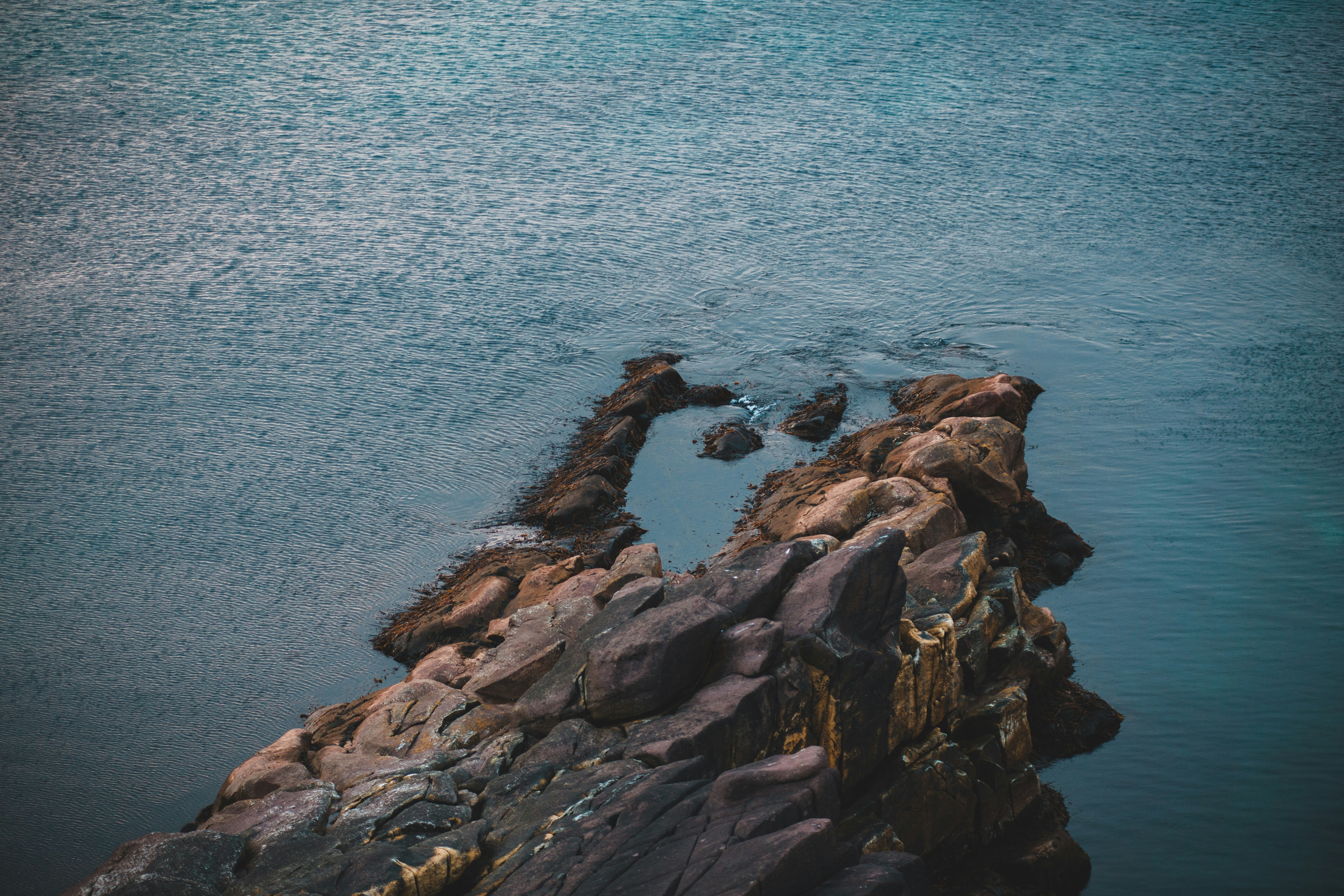 Photo by introspectivedsgn