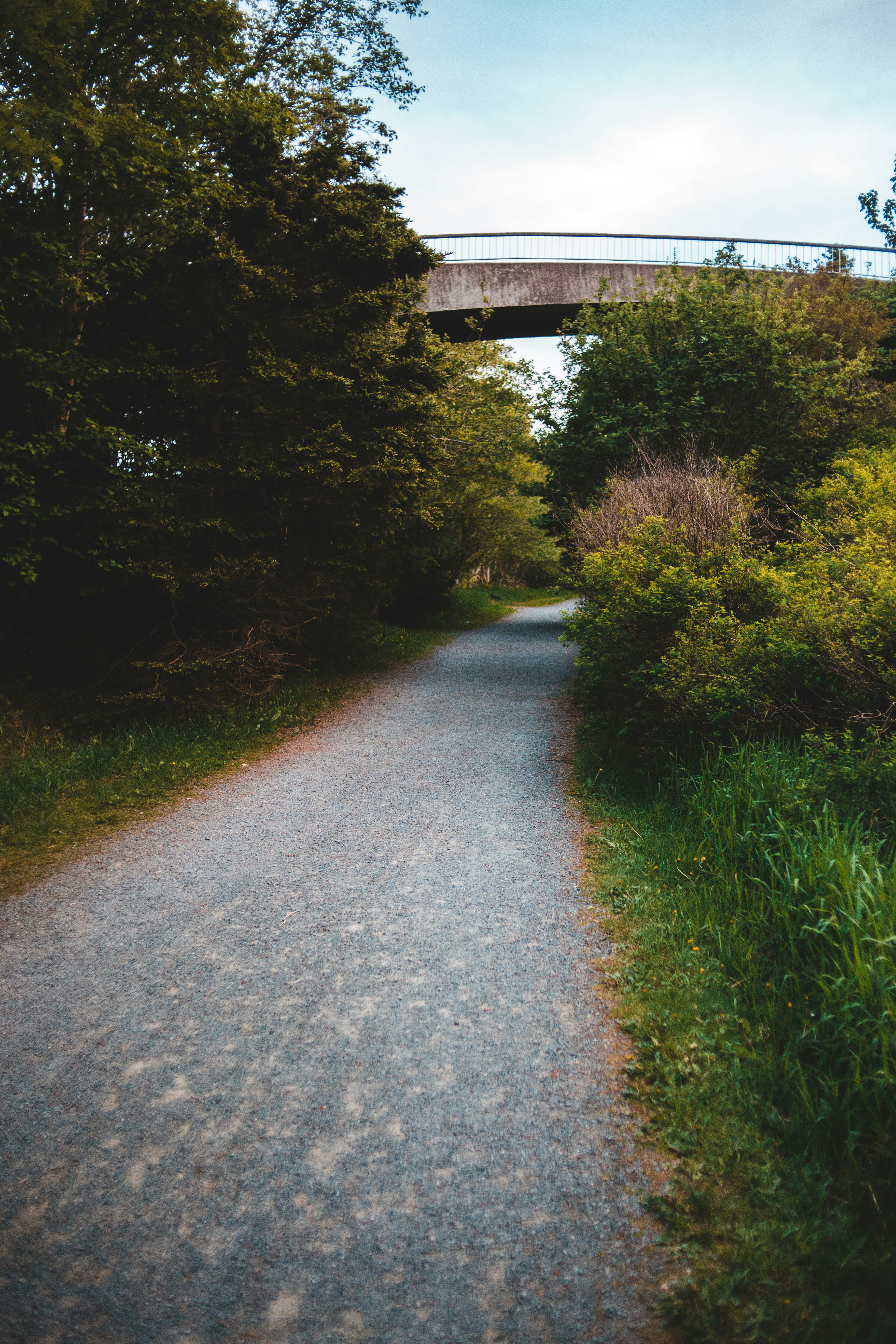 Photo by introspectivedsgn