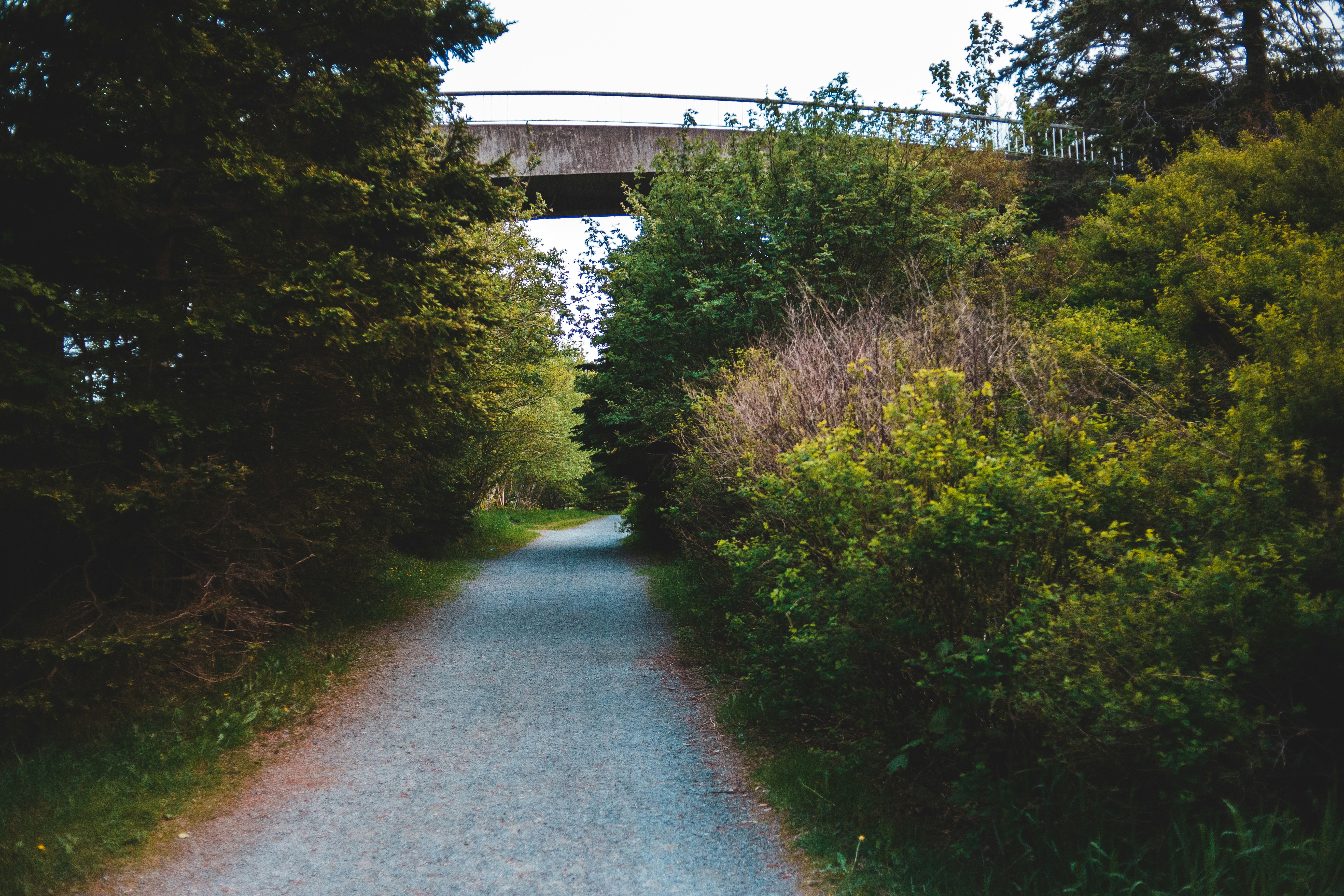 Photo by introspectivedsgn