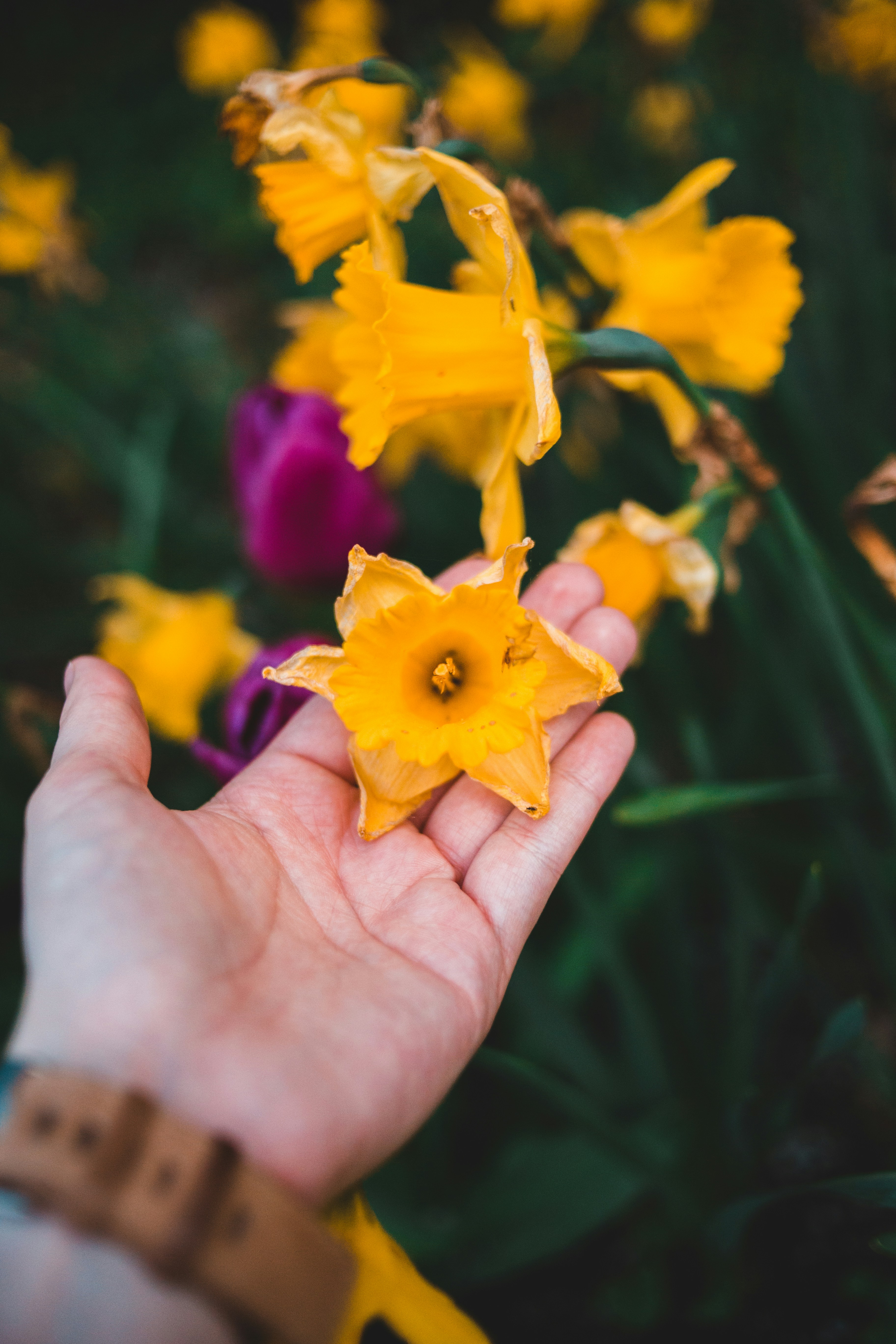 Photo by introspectivedsgn