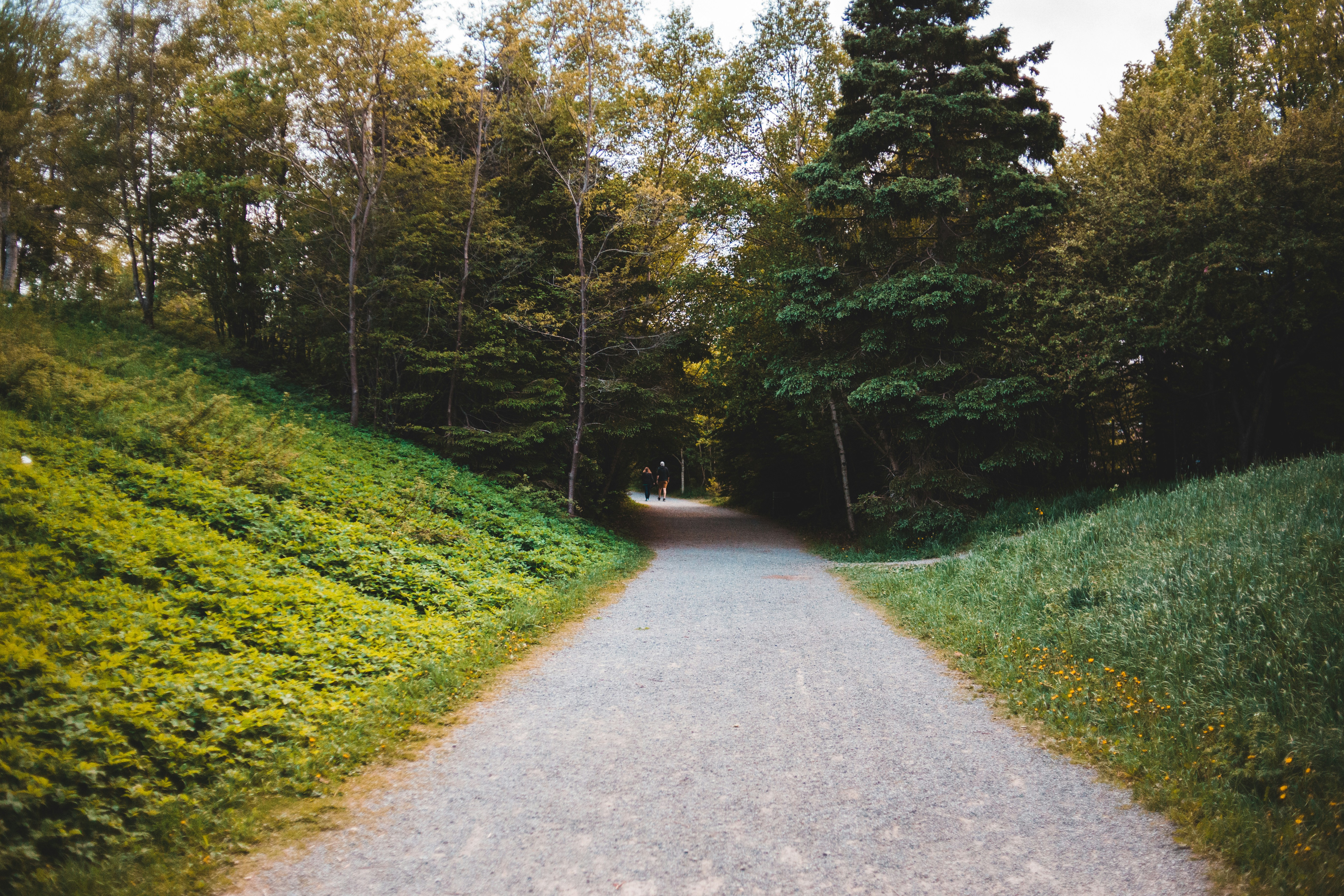 Photo by introspectivedsgn