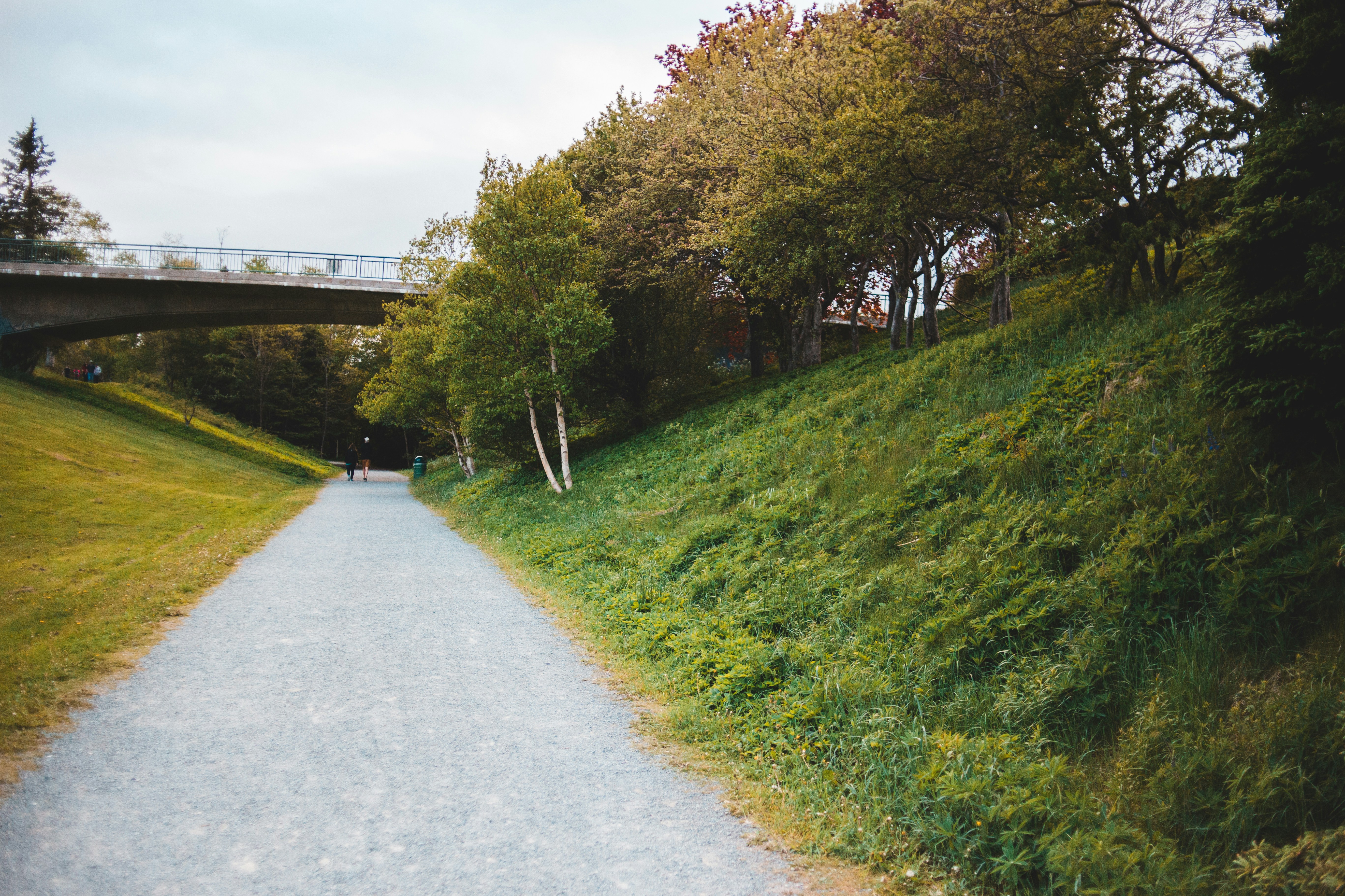 Photo by introspectivedsgn