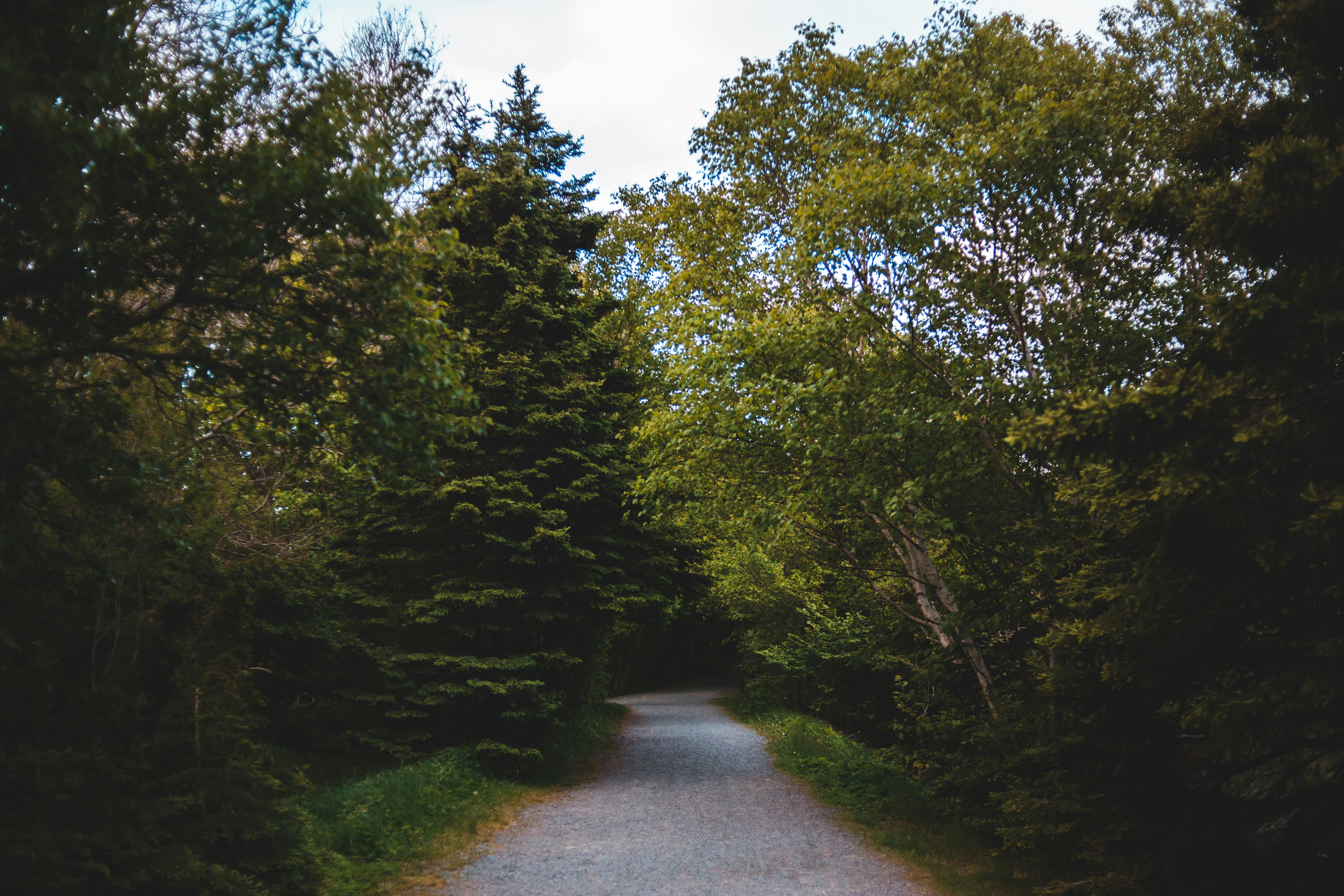 Photo by introspectivedsgn