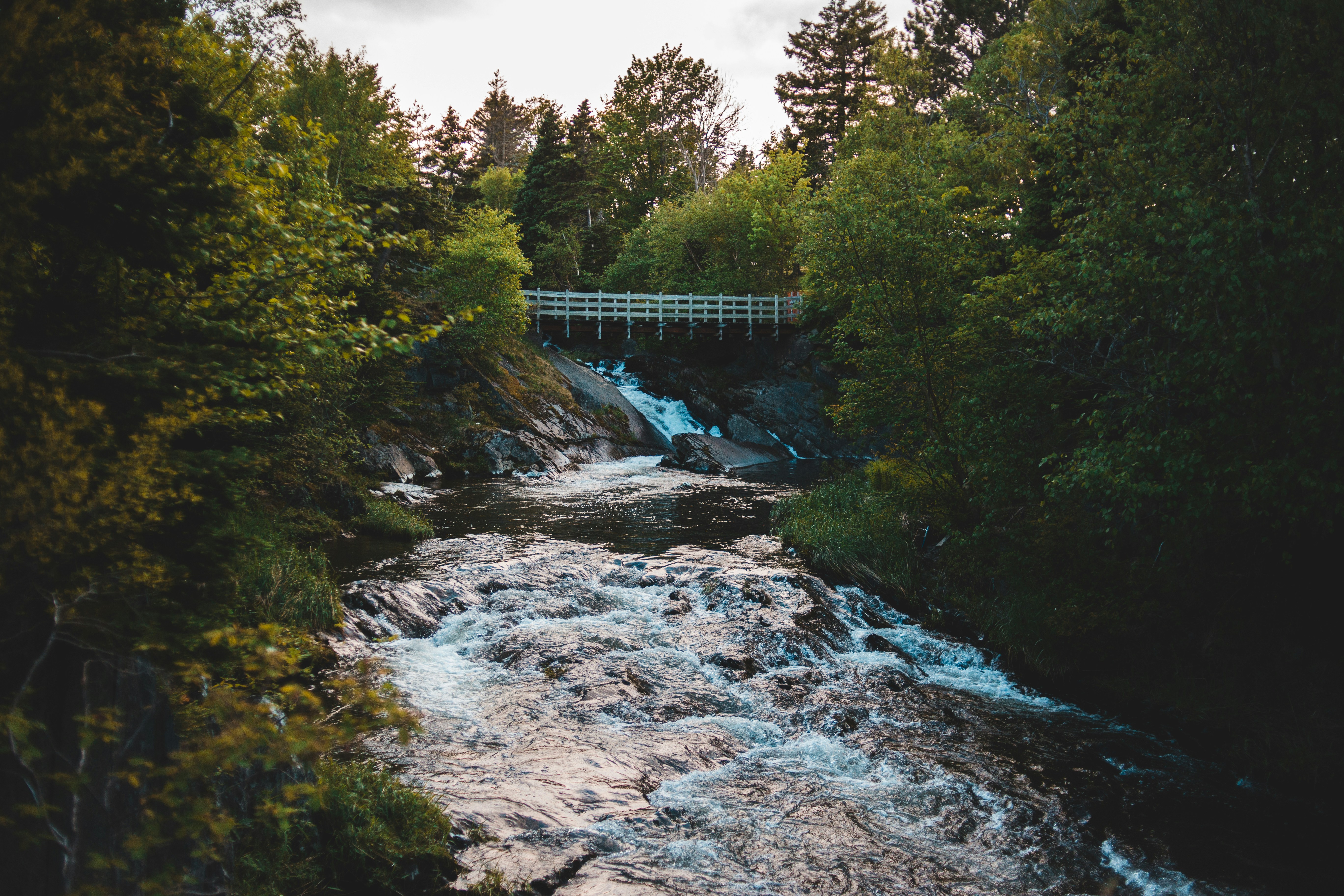 Photo by introspectivedsgn