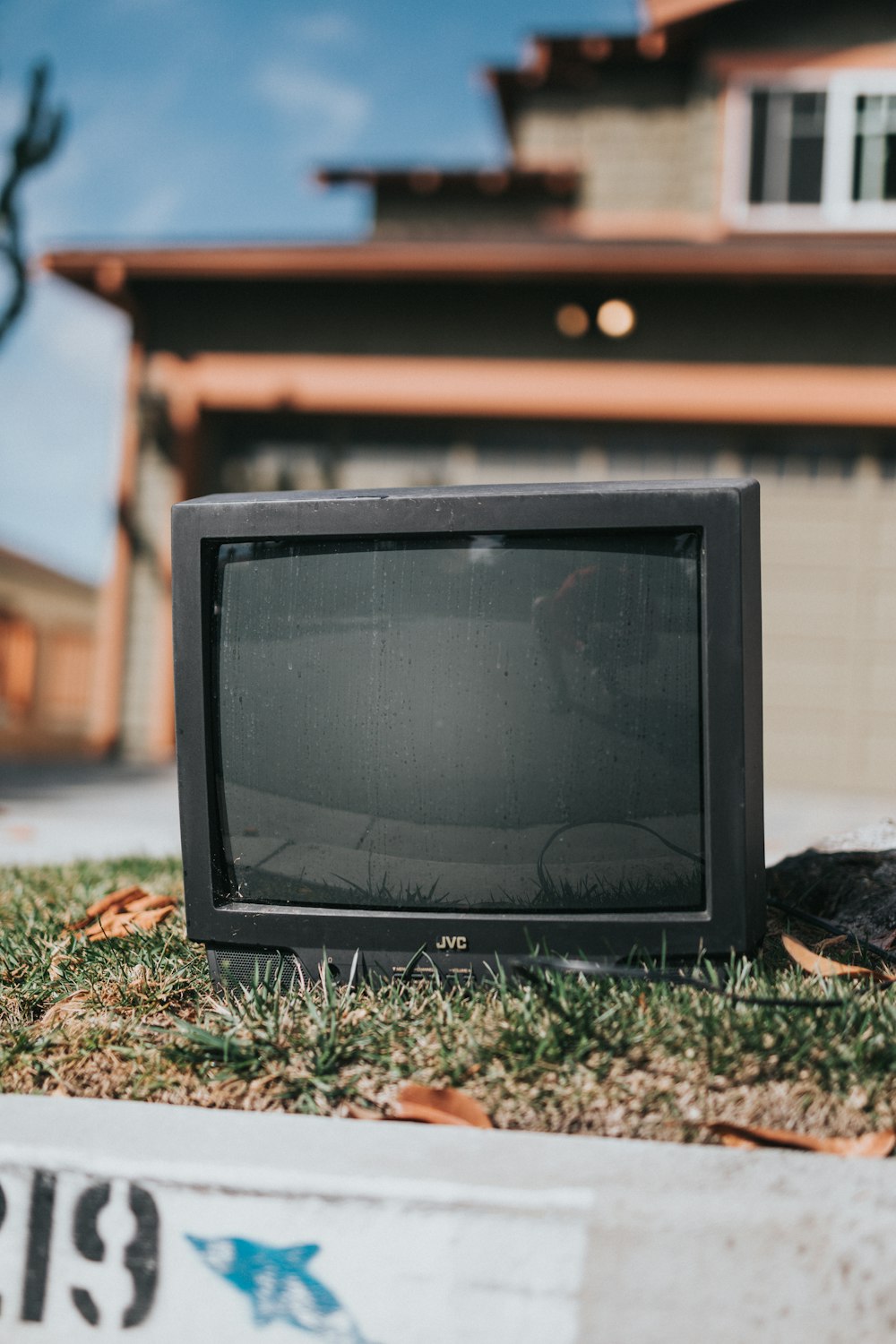 black crt tv on brown dried leaves