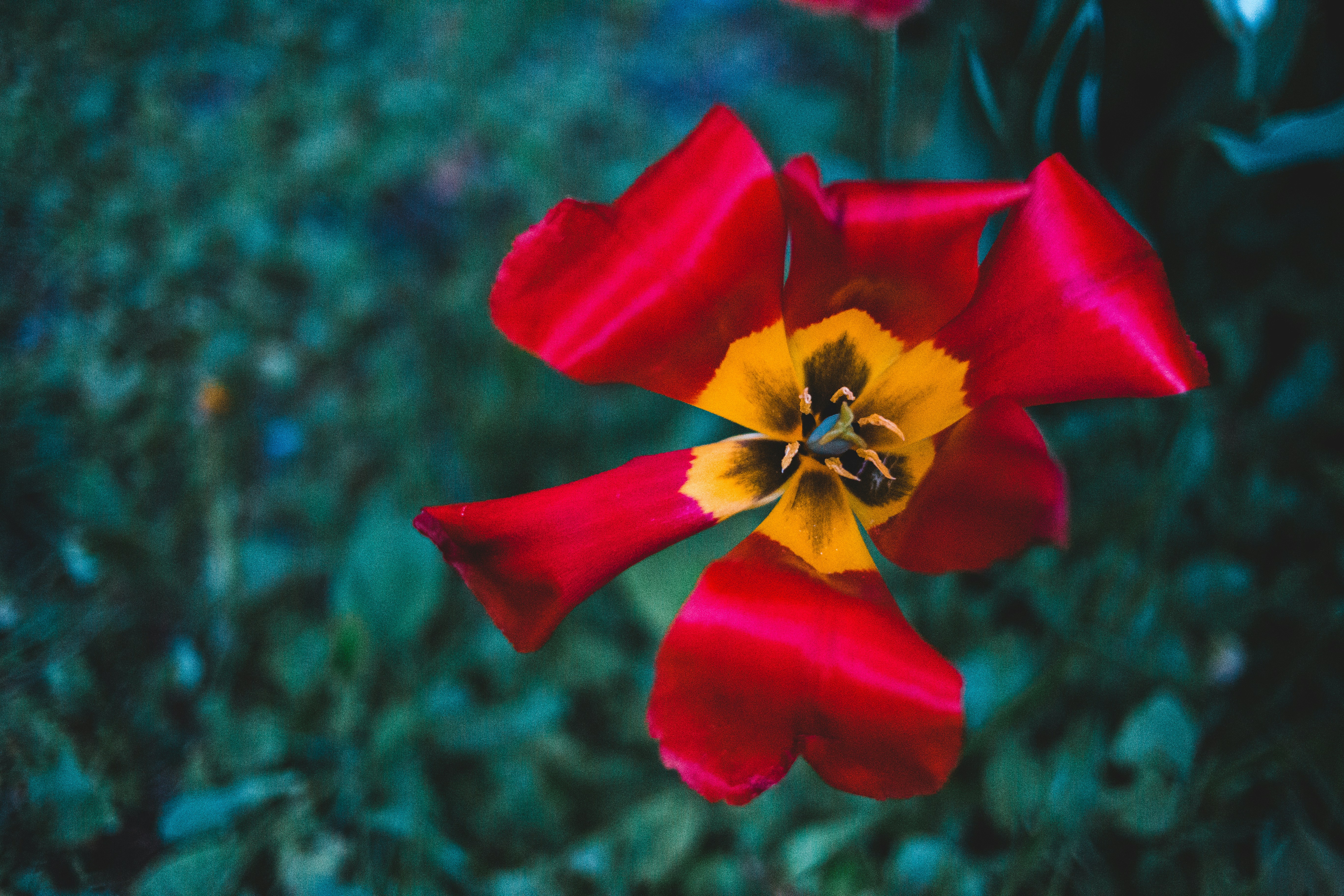 Photo by introspectivedsgn