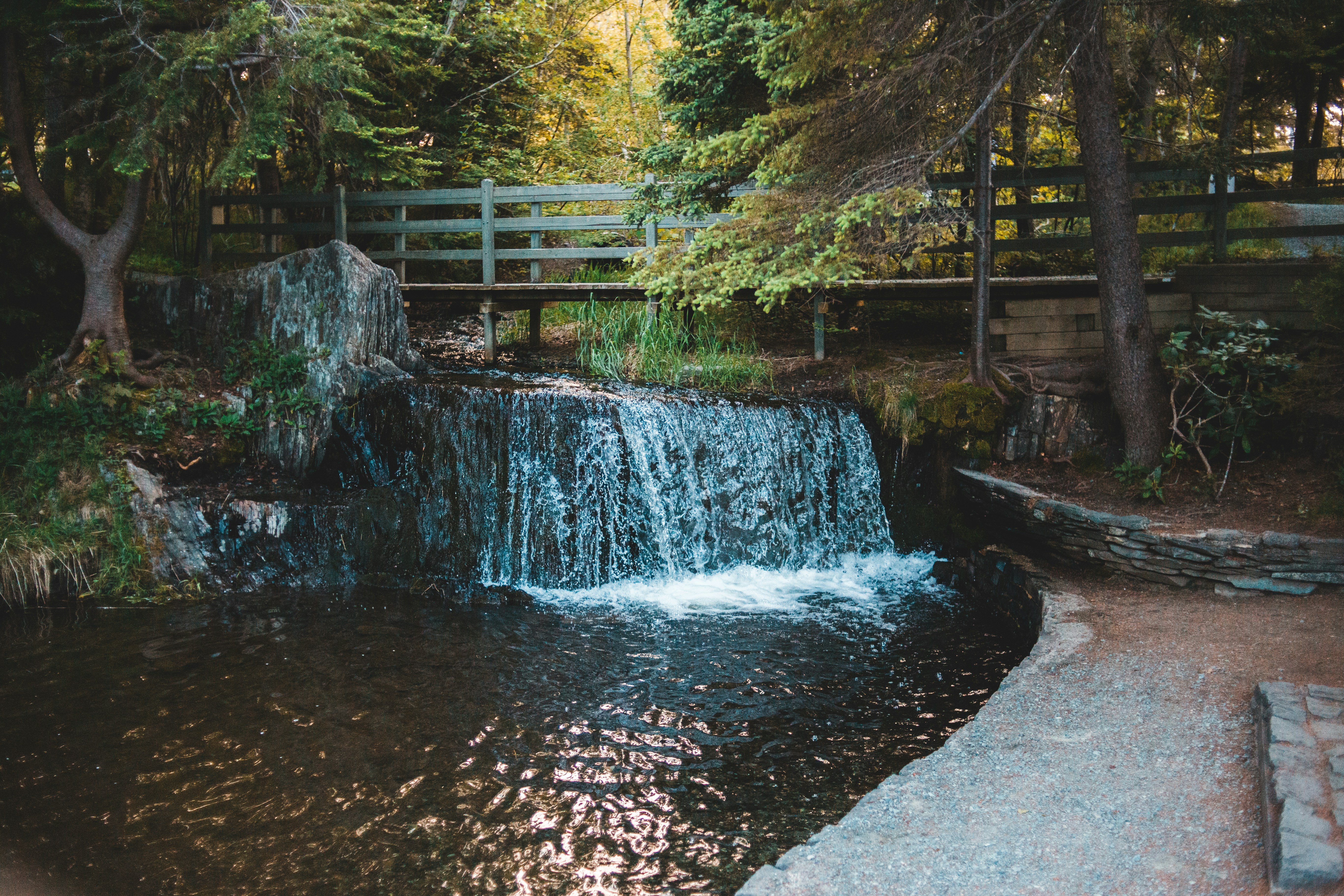 Photo by introspectivedsgn