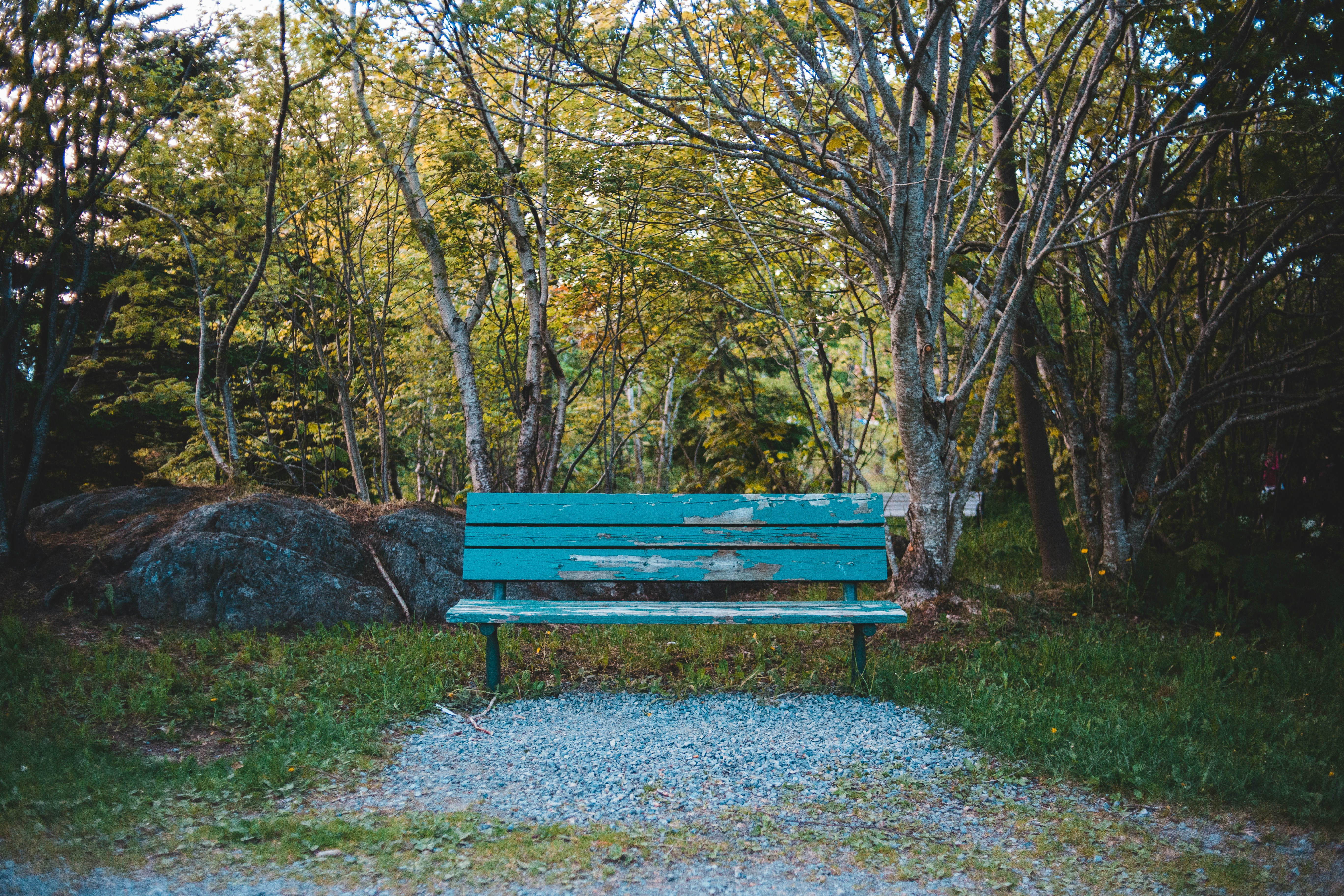 Photo by introspectivedsgn