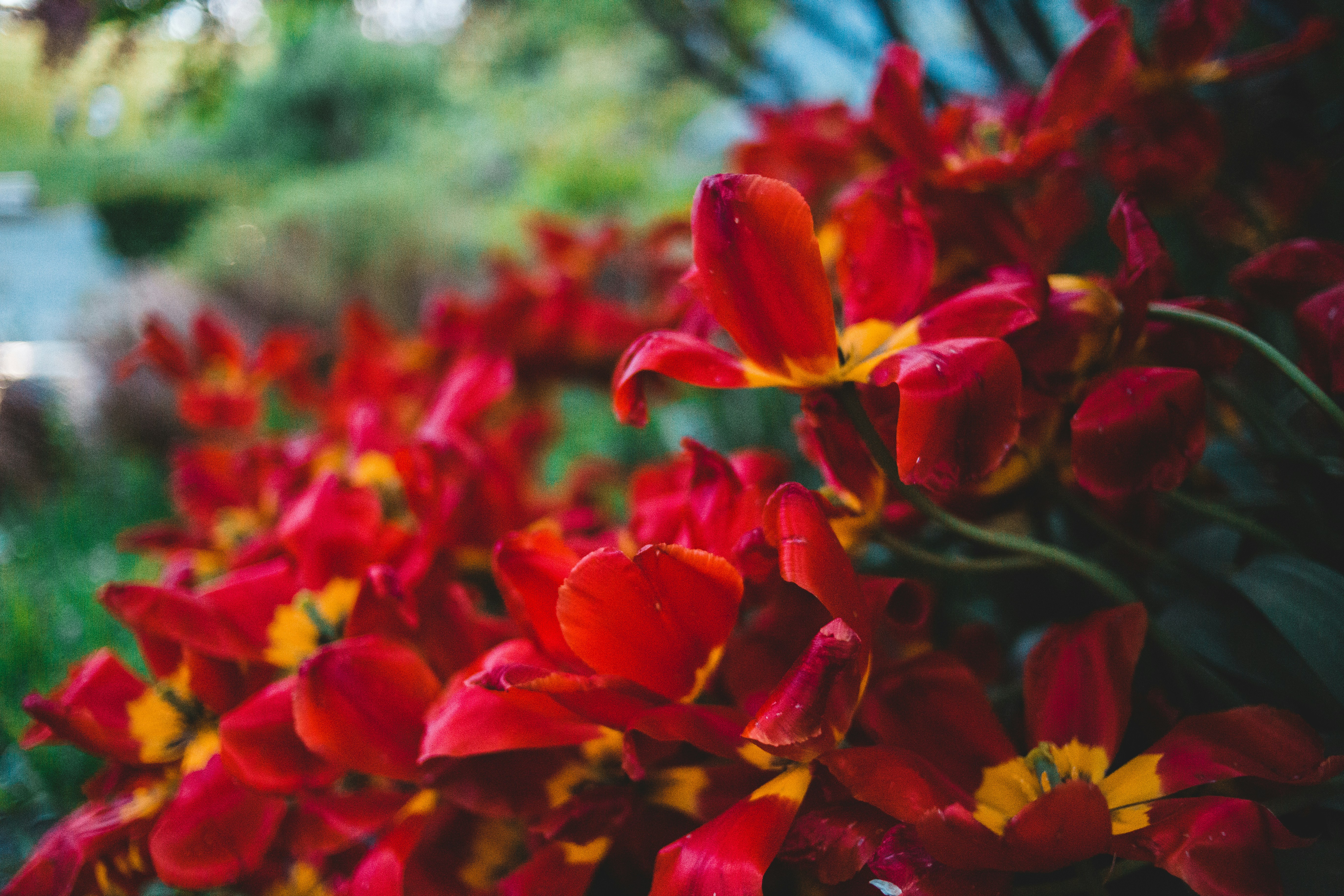 Photo by introspectivedsgn