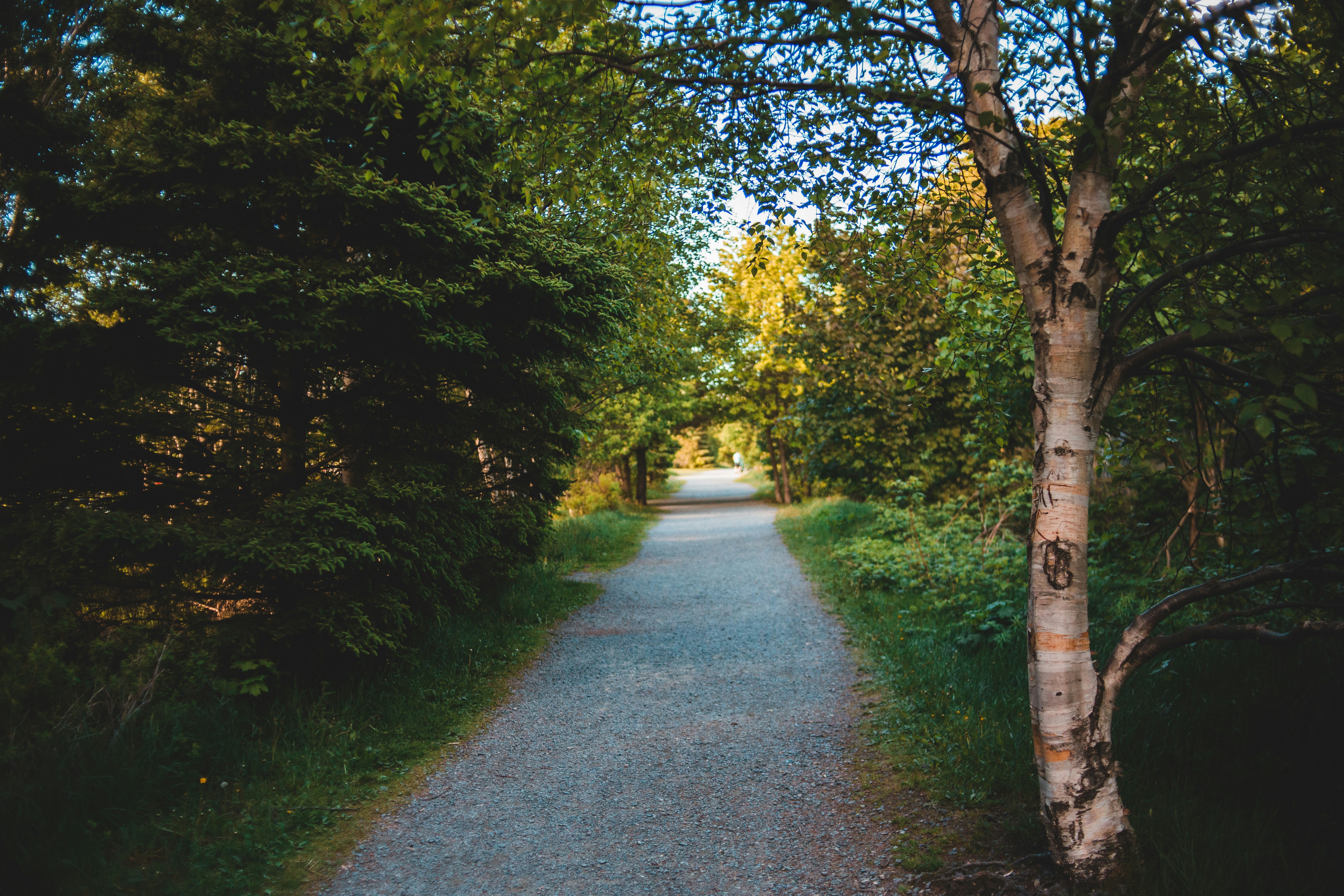 Photo by introspectivedsgn