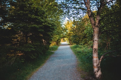 A serene nature path inviting to a peaceful, anxiety-free journey.