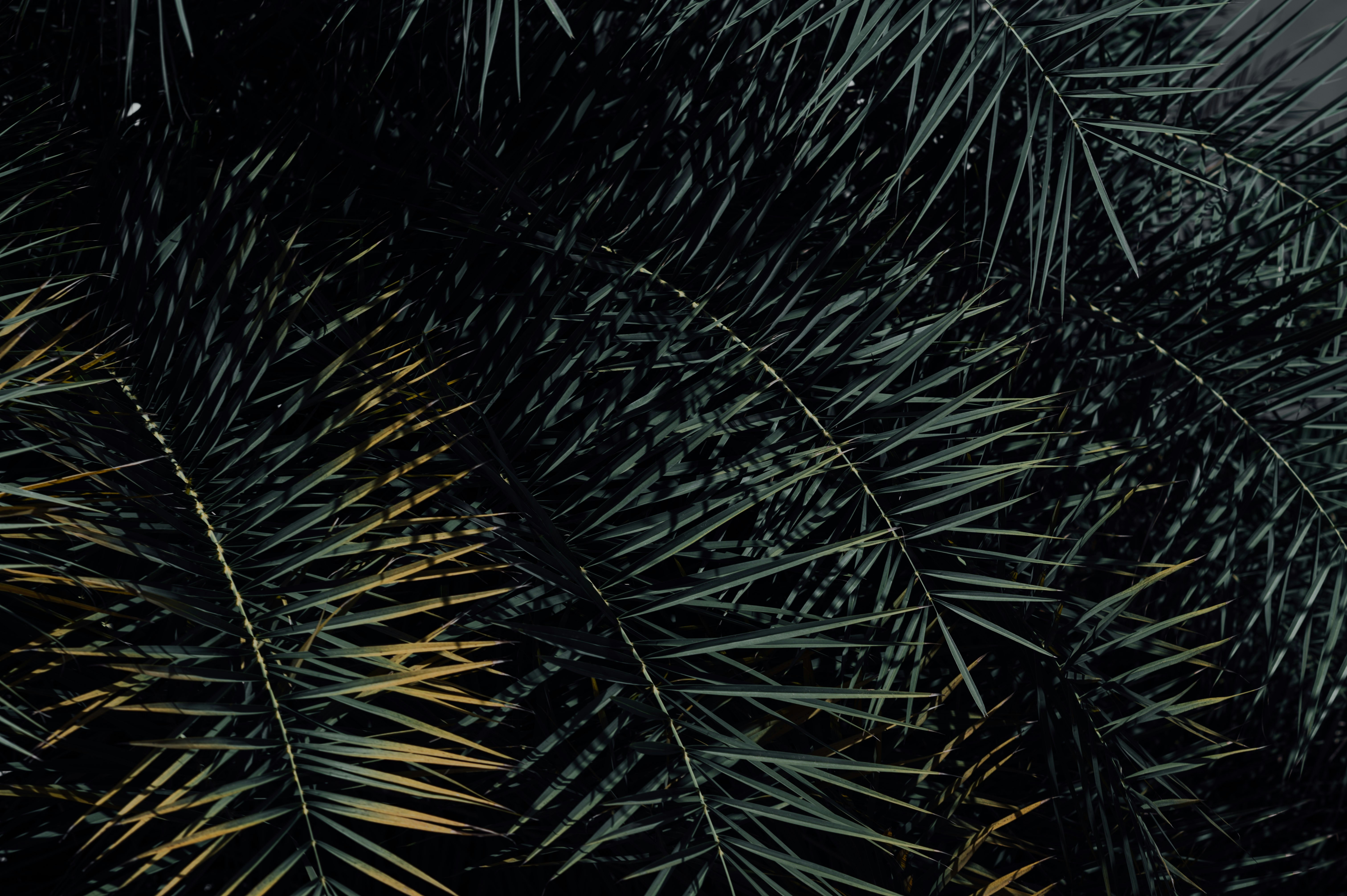 Photo by chuttersnap