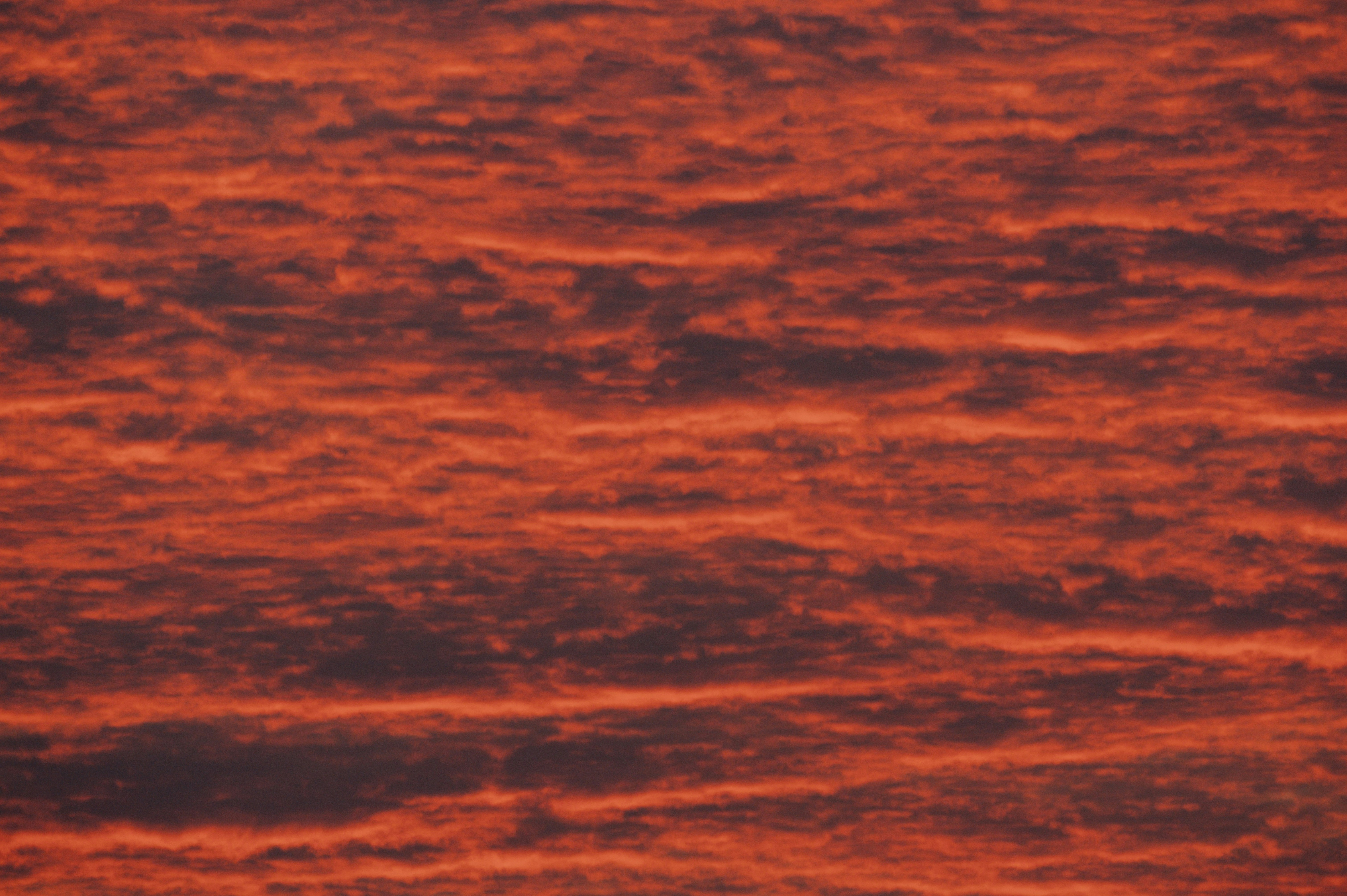 Photo by chuttersnap