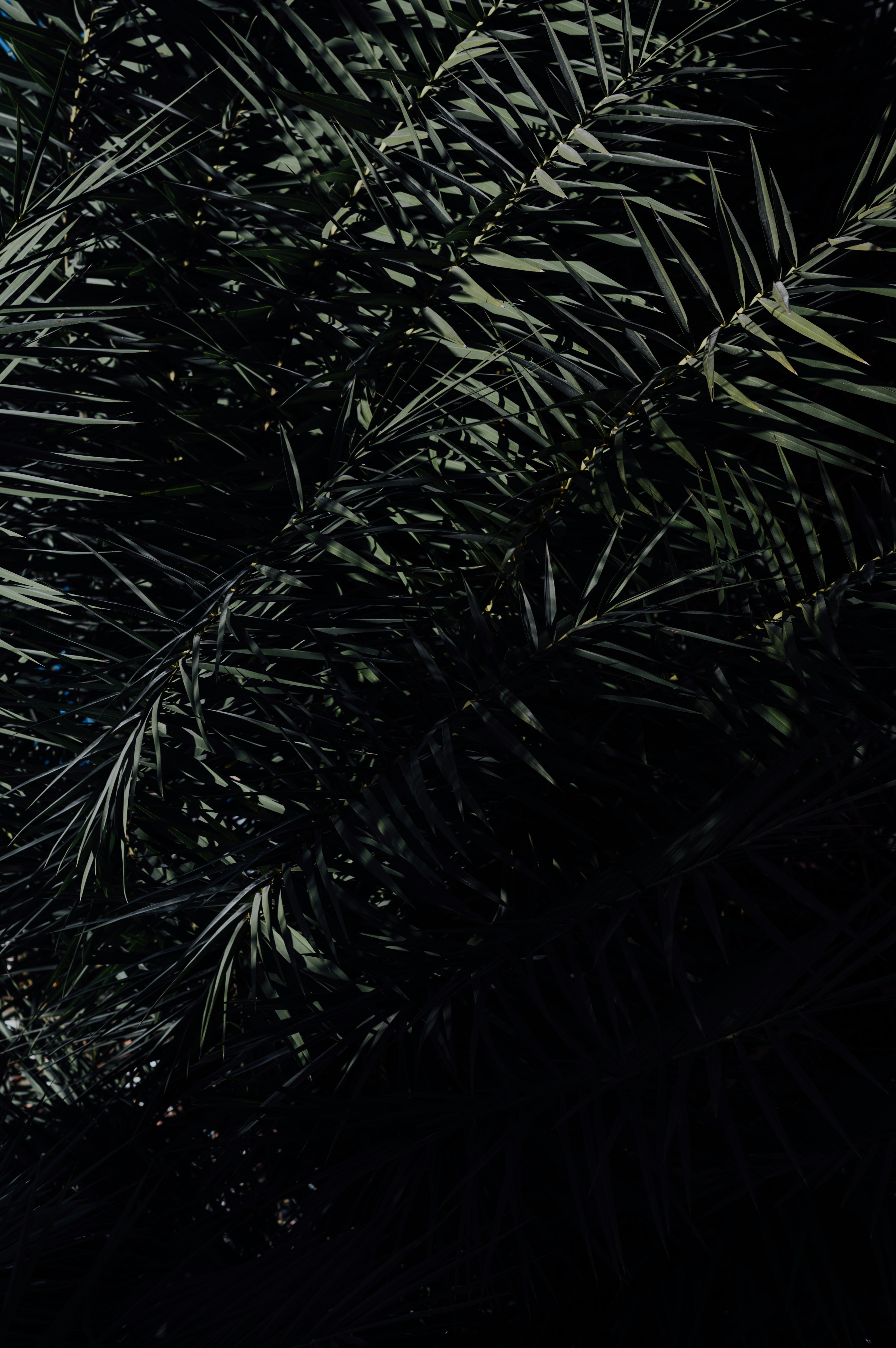 Photo by chuttersnap